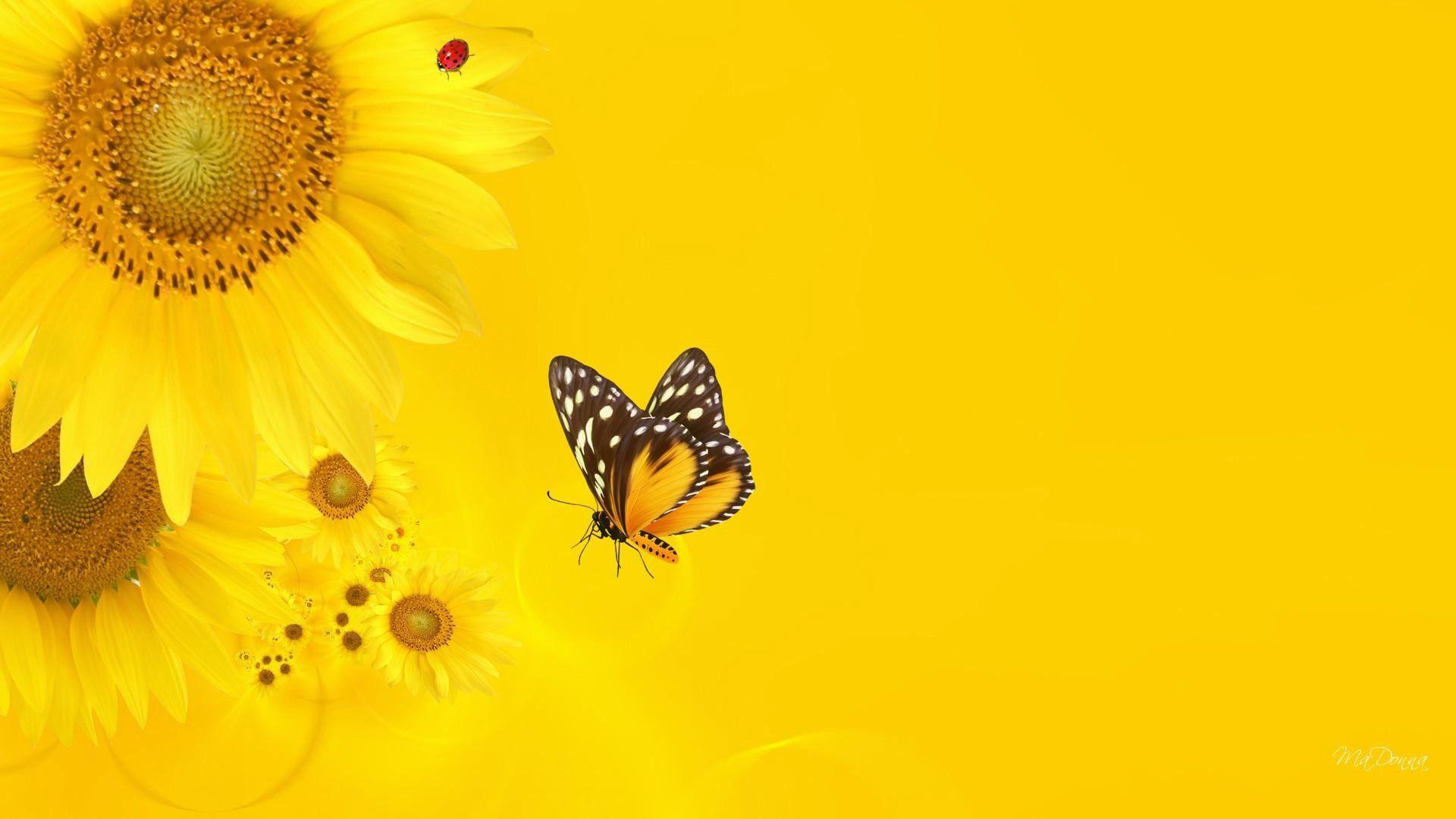 1920x1080 Sunshine Desktop Background. Beautiful Widescreen Desktop Wallpaper, Desktop Wallpaper and Naruto Desktop Background