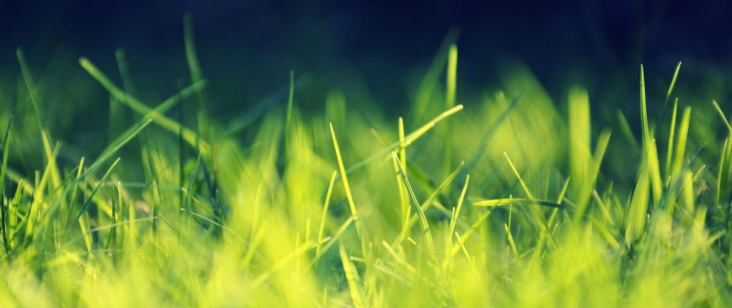 2560x1080 NVIDIA Wallpaper 2560x1080