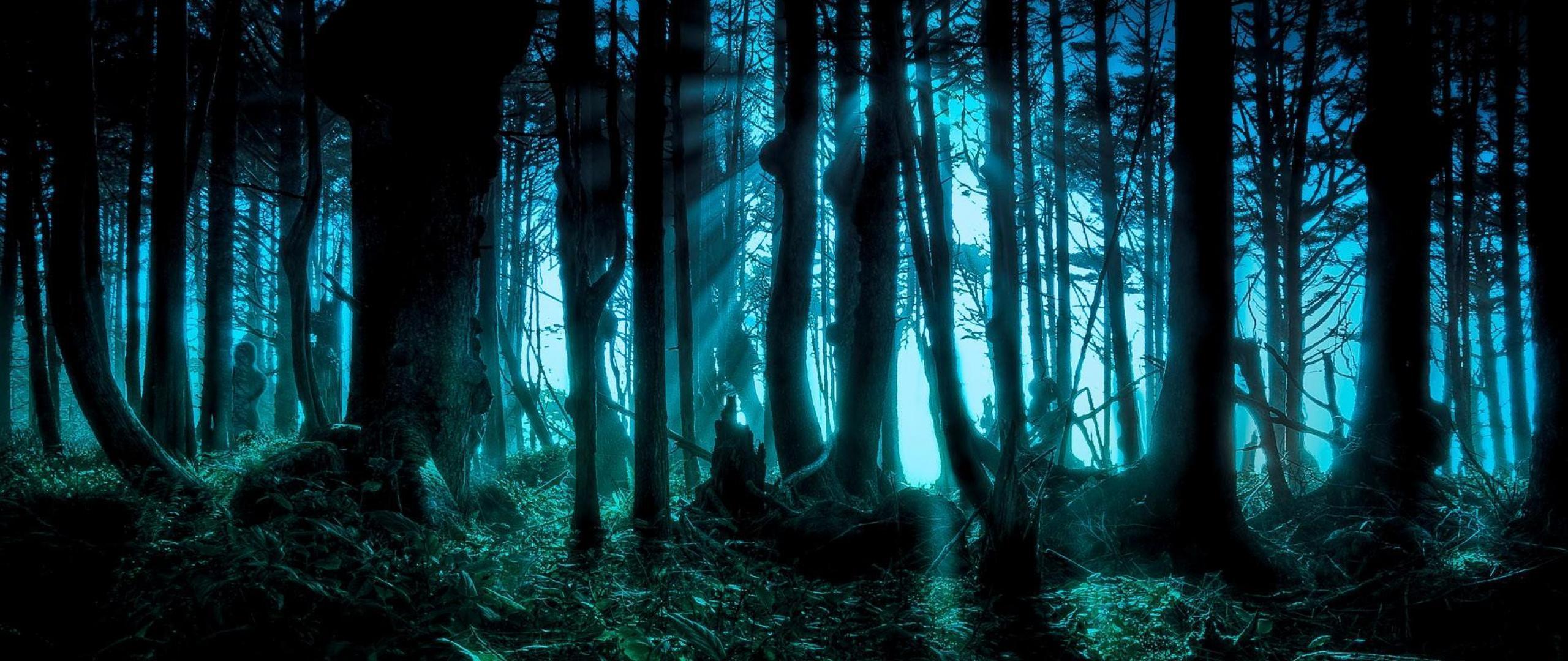 2560x1080 Wallpaper