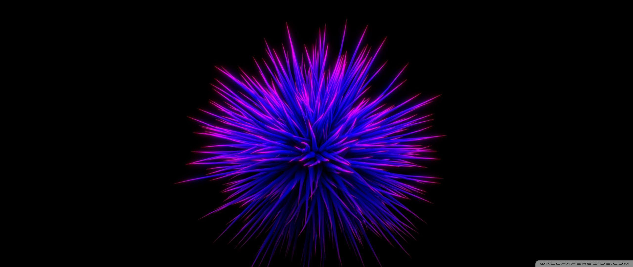 2560x1080 Blue Flower Ultra HD Desktop Background Wallpaper for : Widescreen & UltraWide Desktop & Laptop : Multi Display, Dual Monitor : Tablet