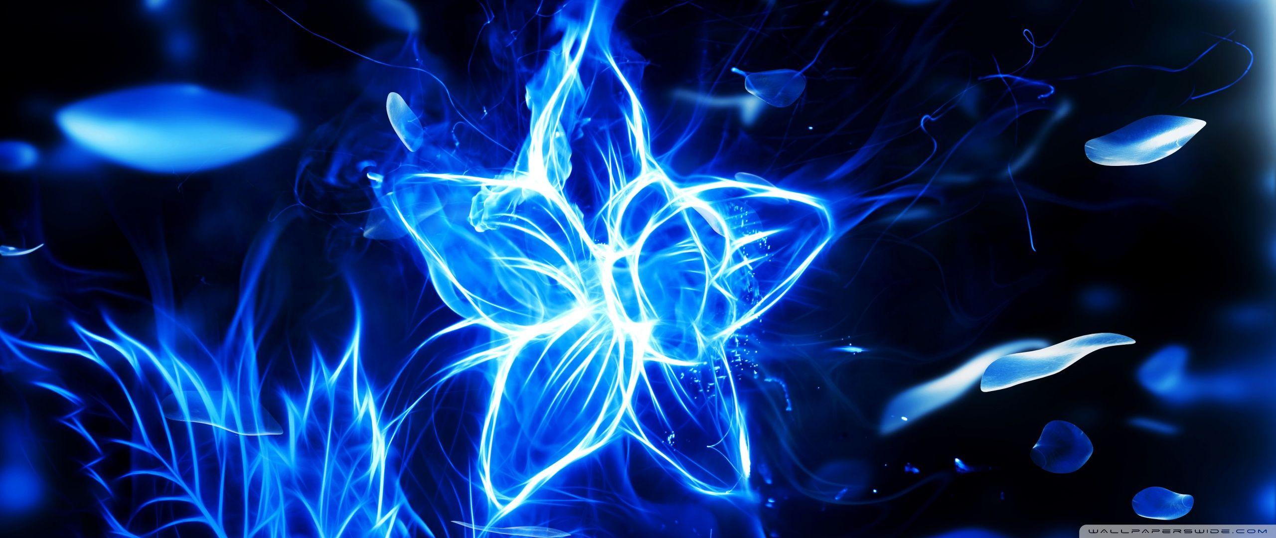 2560x1080 Blue Fire Flower Ultra HD Desktop Background Wallpaper for 4K UHD TV : Widescreen & UltraWide Desktop & Laptop : Tablet