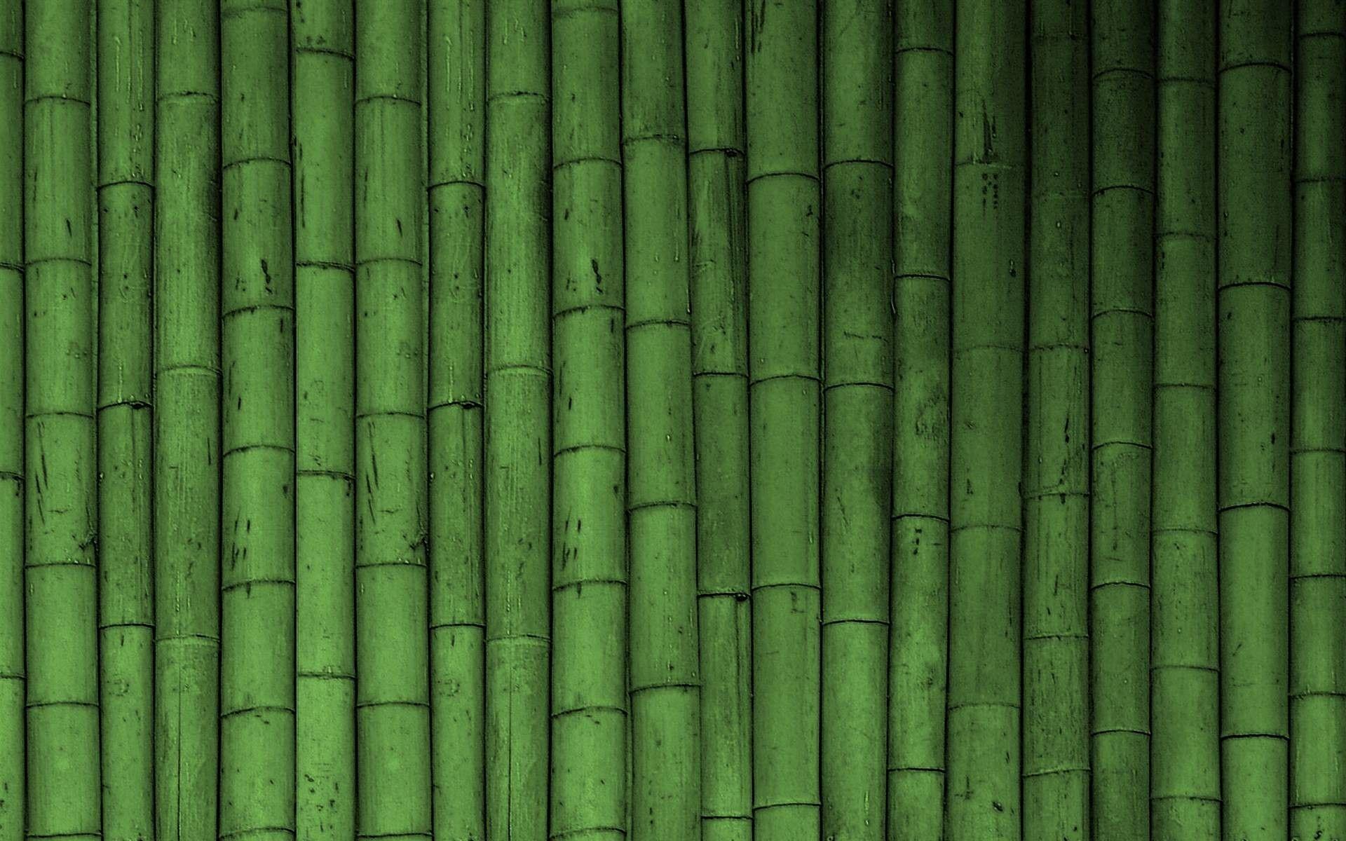 bamboo desktop wallpaper