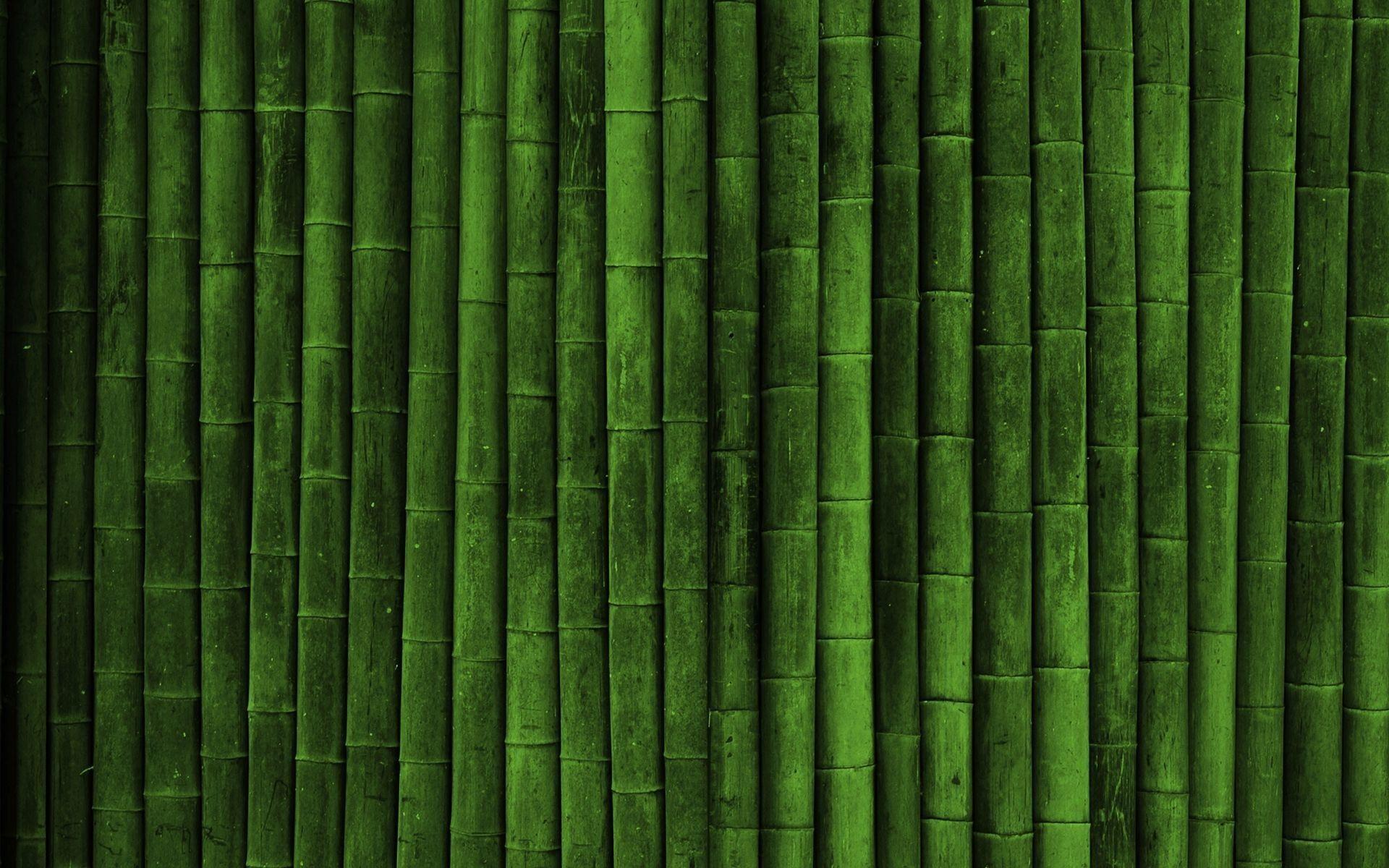 Green Bamboo Wallpapers - Top Free Green Bamboo Backgrounds -  WallpaperAccess