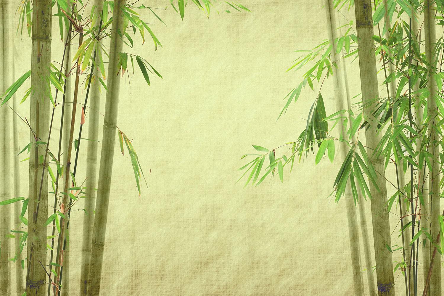 1500x1000 Green Bamboo Wallpaper (1500x1000 px)