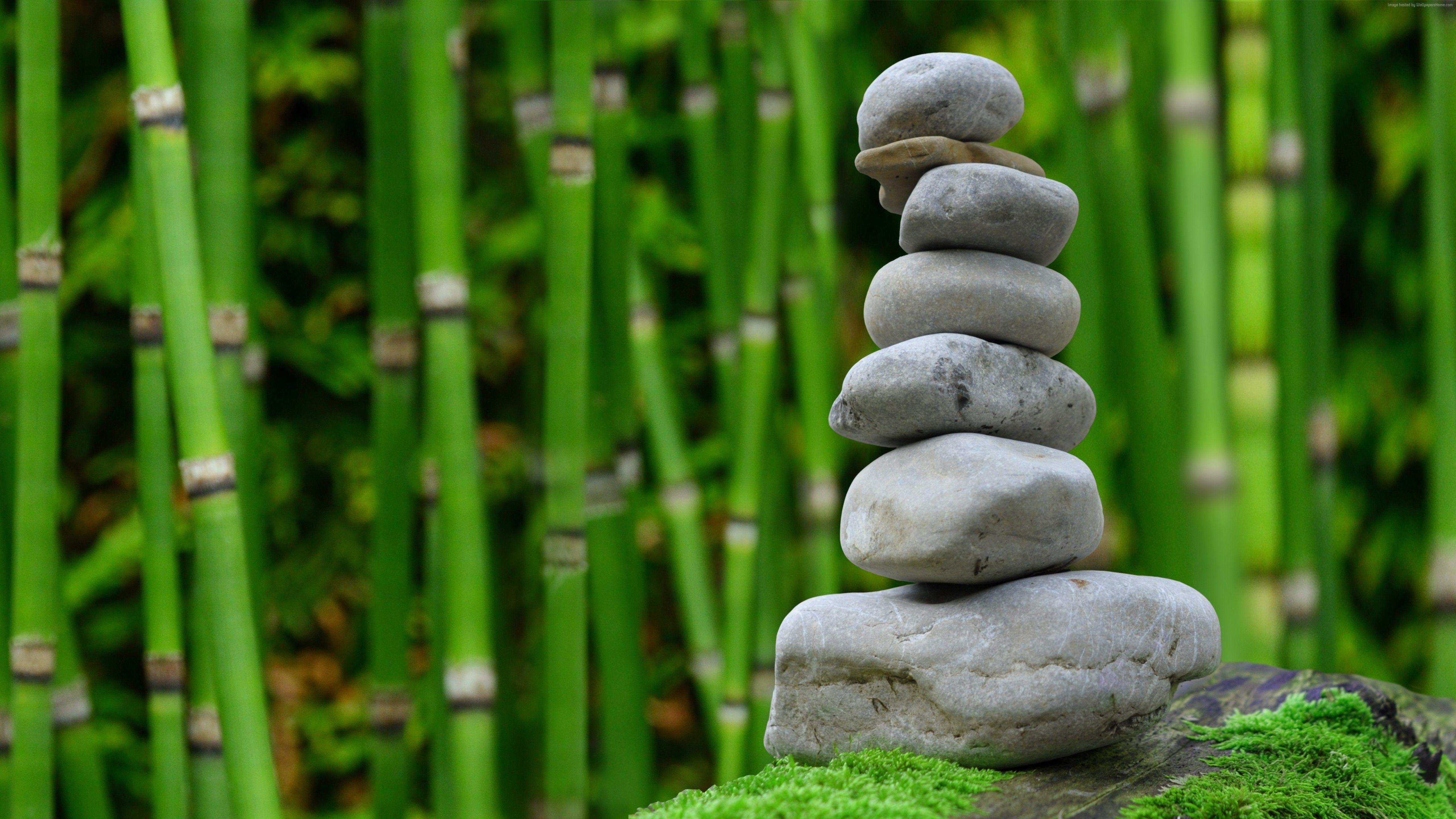 5120x2880 Gray stones on a background of green bamboo wallpaper and image, picture, photo