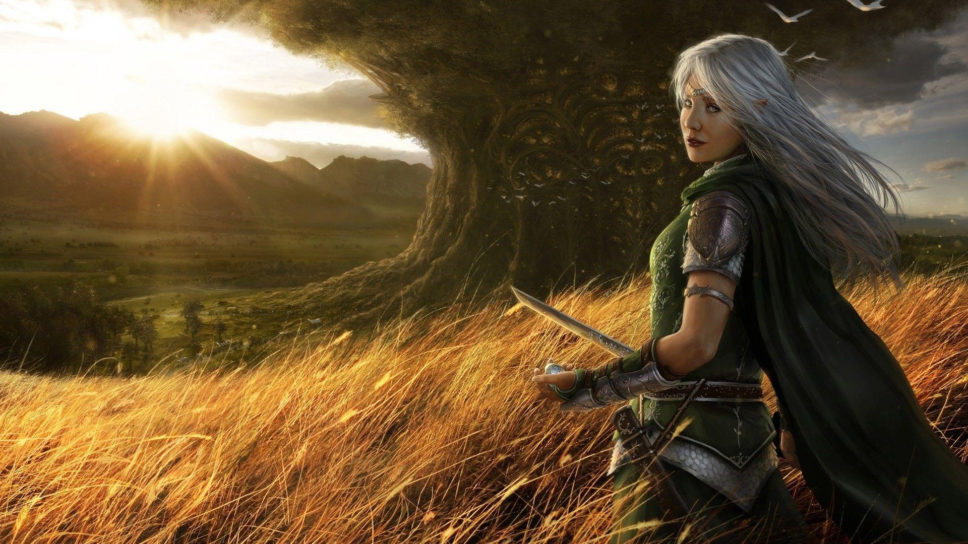 1920x1080 Fantasy Warrior