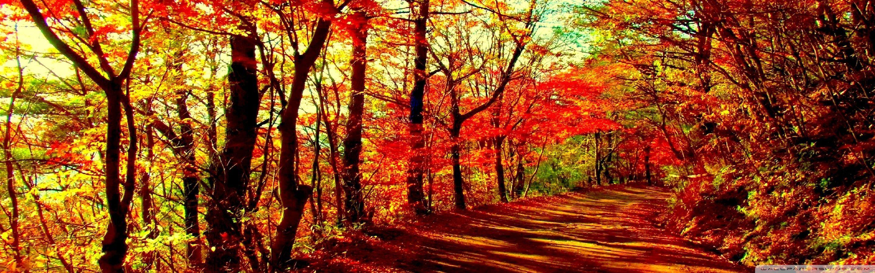 2880x900 Autumn Dual Wallpaper