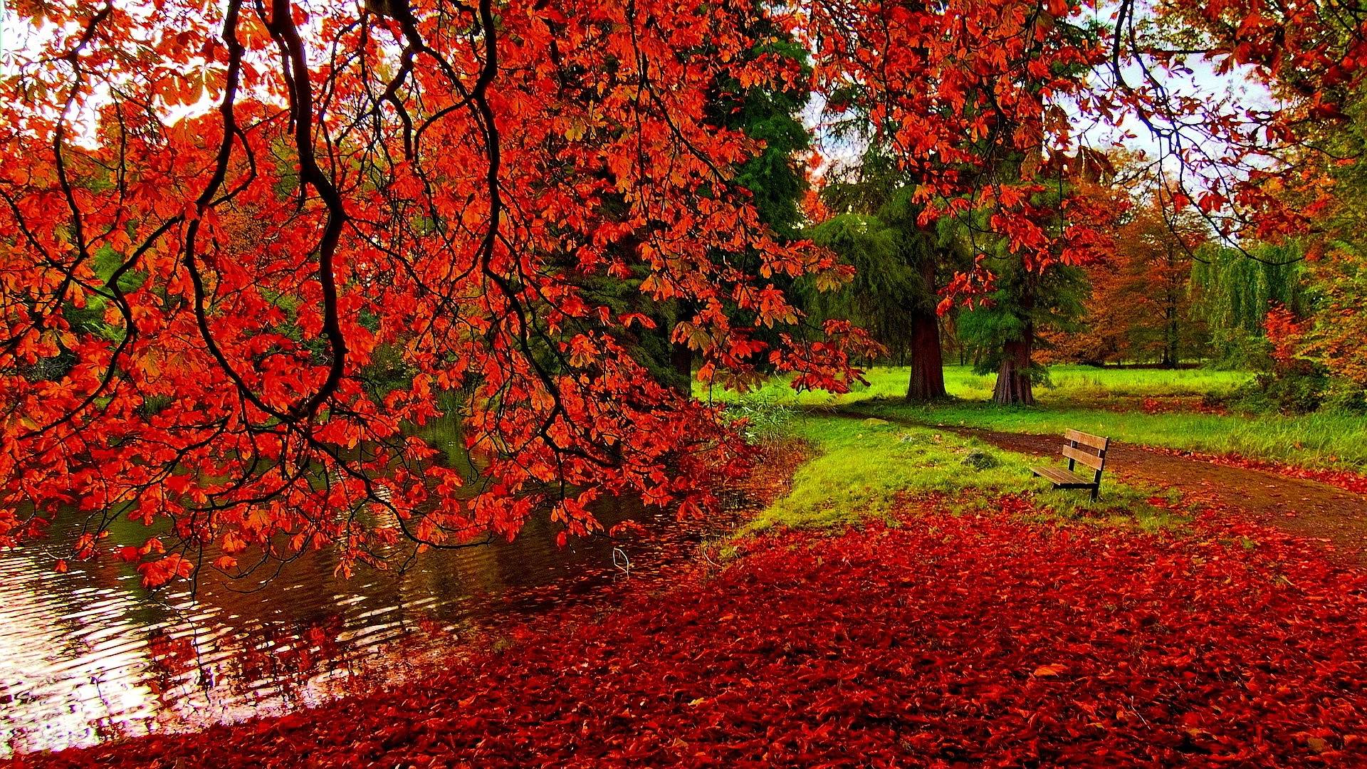 1920x1080 Park Autumn Wallpaper Wallpaper Full HD Wallpaper & Background Download