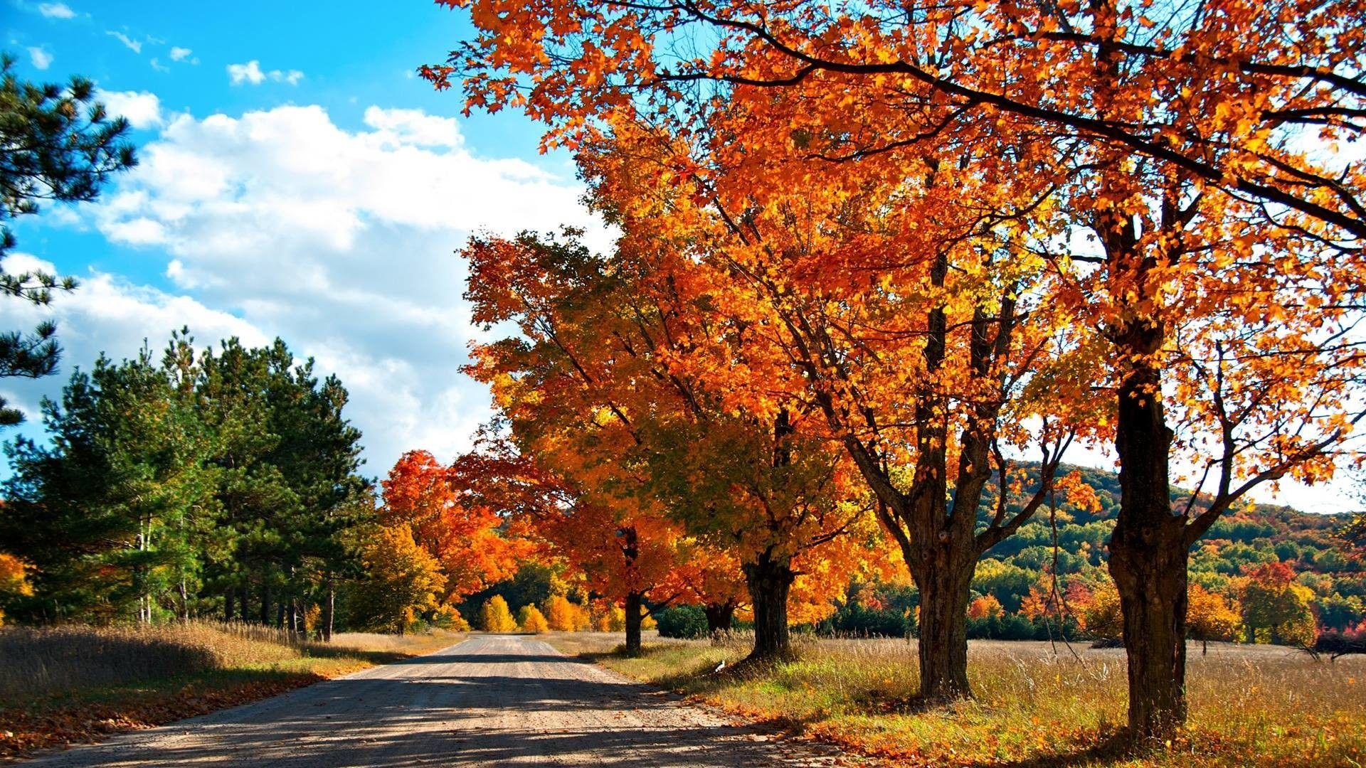 1920x1080 Autumn HD Wallpaper