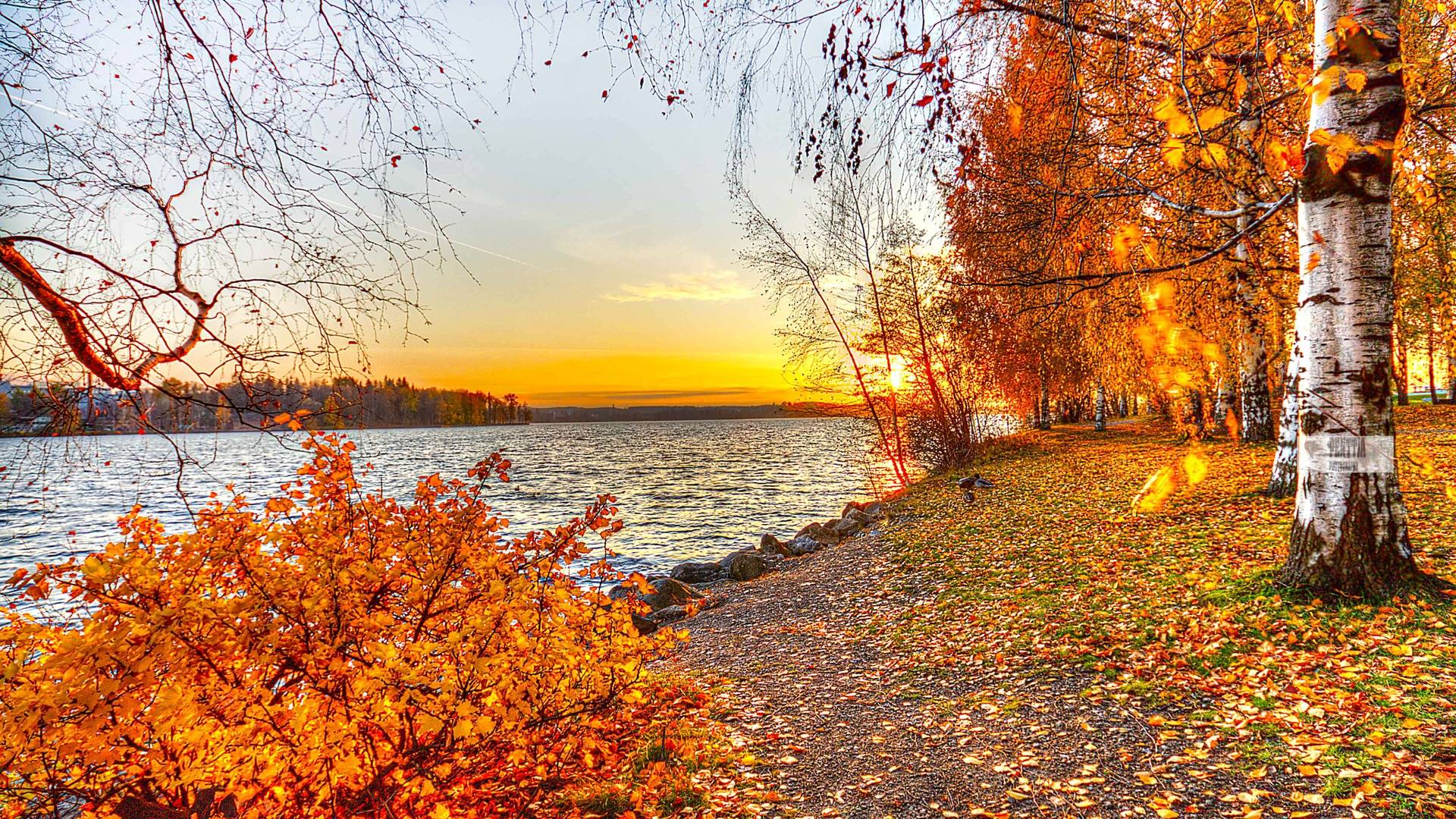 1920x1080 Fall Desktop Photo HD Wallpaper Landscape Background
