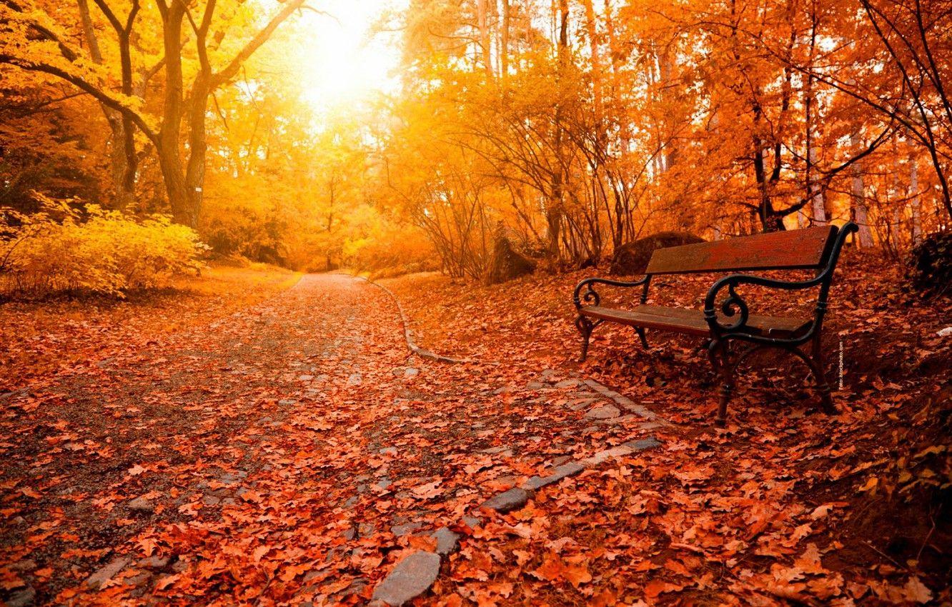 Relaxing Autumn Day Wallpapers - Top Free Relaxing Autumn Day ...