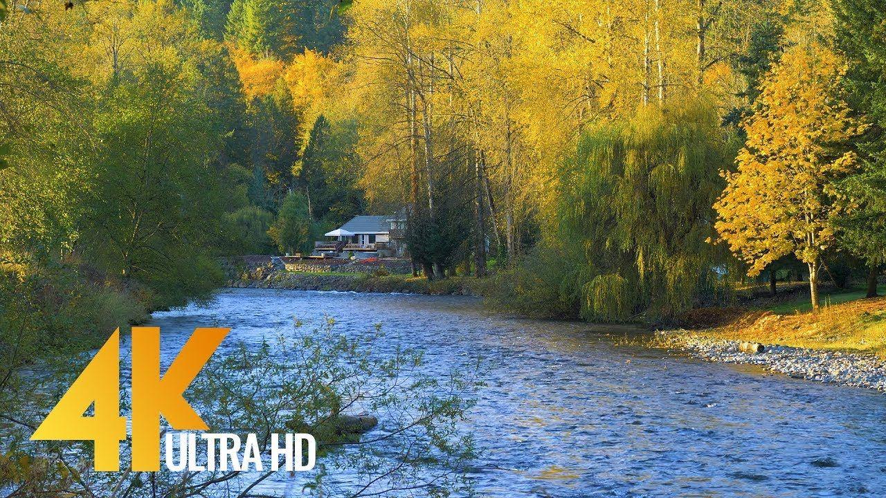 1280x720 4K Nature Autumn Scenery Colors and Autumn Foliage. Episode