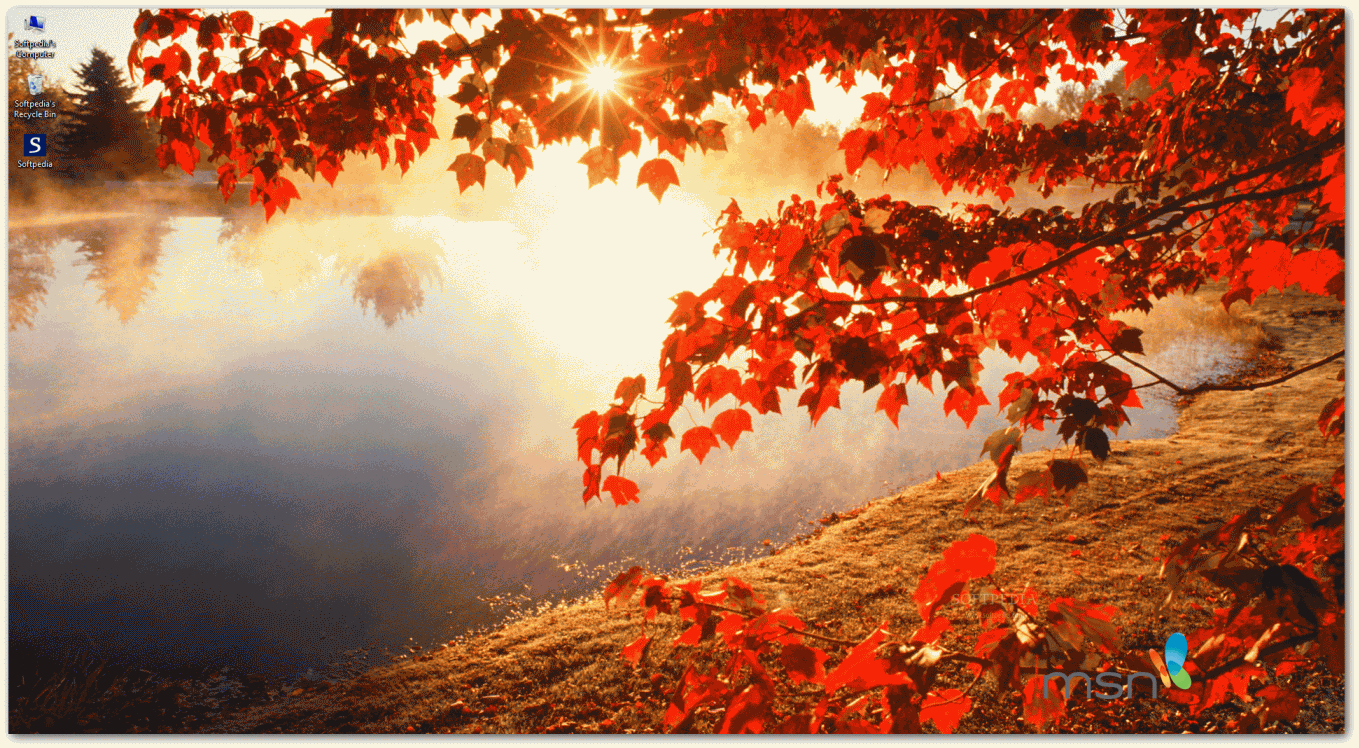 1359x748 Free download Wallpaper and Screensaver Pack Autumn MSN Wallpaper and Screensaver [1359x748] for your Desktop, Mobile & Tablet. Explore Autumn Screen Wallpaper. Beautiful Autumn Wallpaper, Home Screen Wallpaper