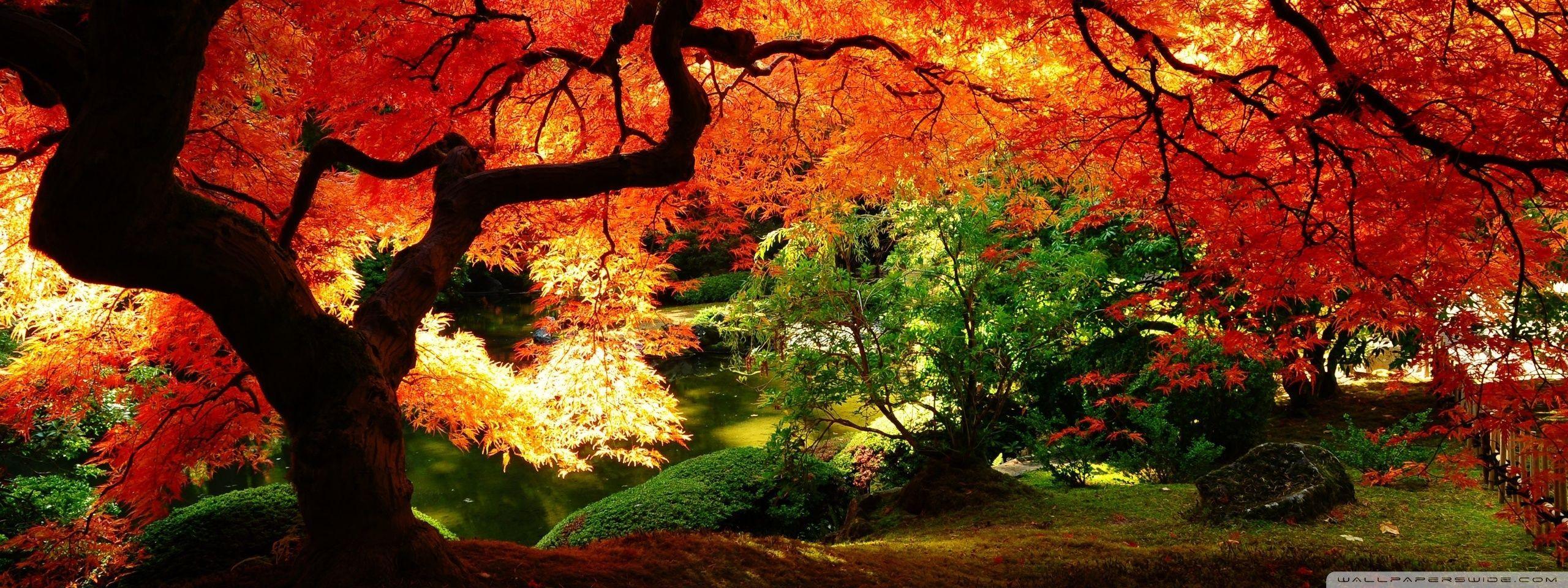 2560x960 Autumn Dual Wallpaper