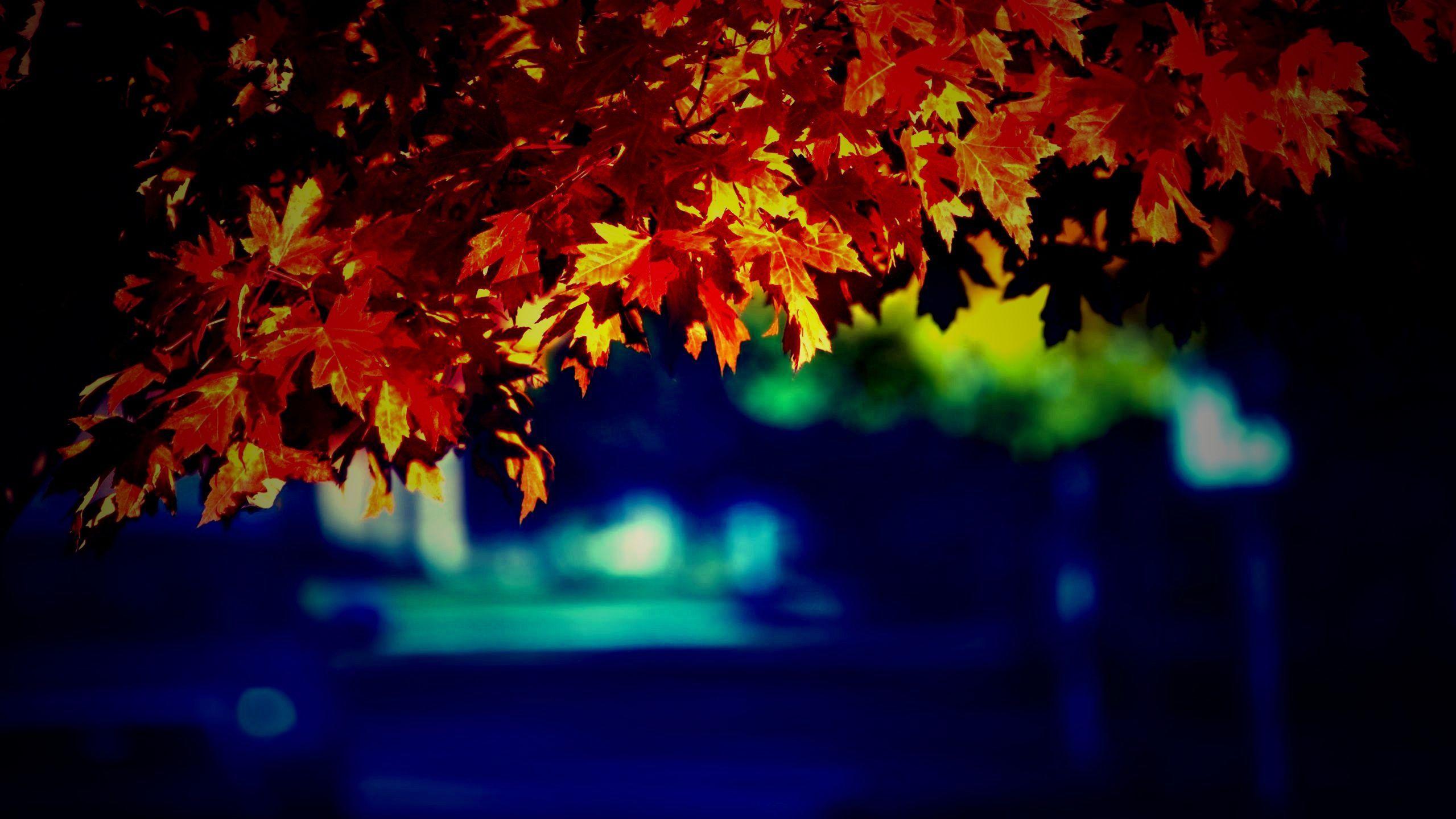 Autumn Season HD Wallpapers - Top Free Autumn Season HD Backgrounds ...