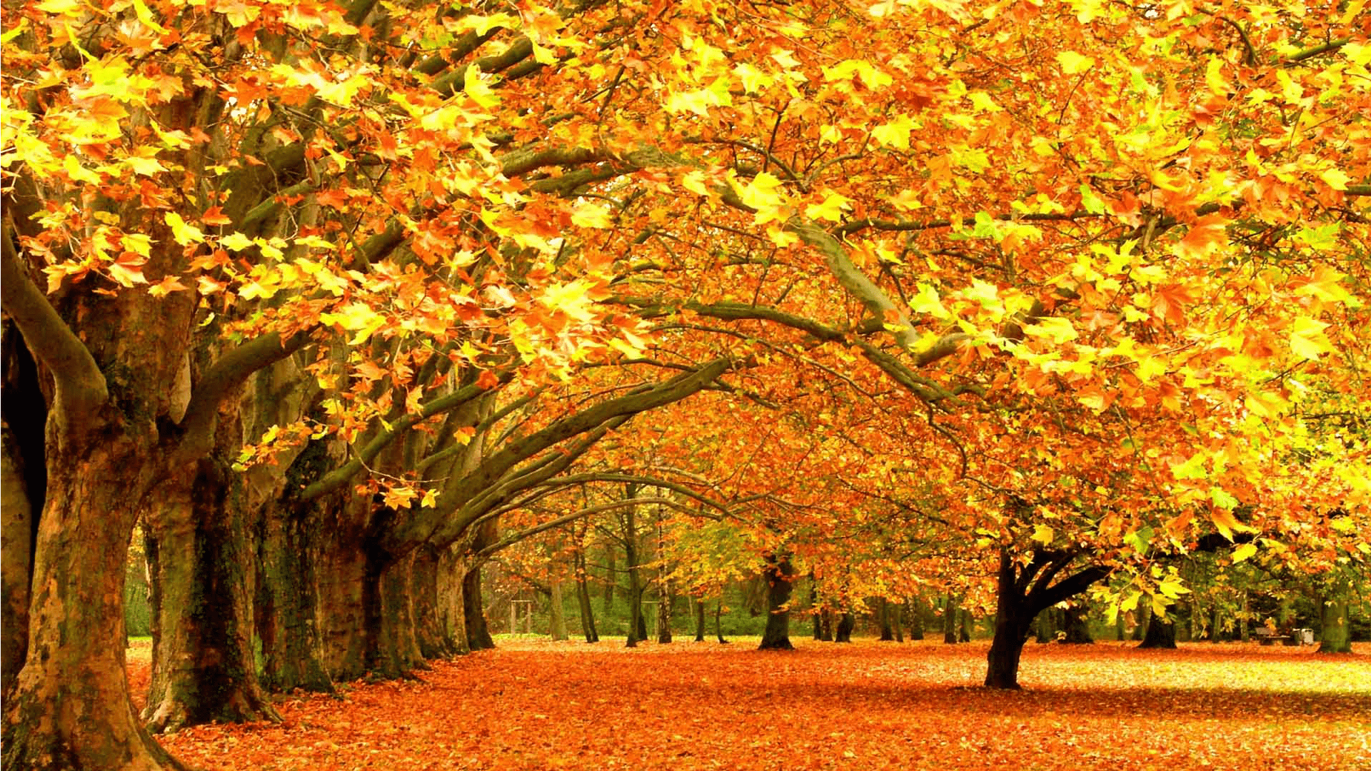 Relaxing Autumn Day Wallpapers - Top Free Relaxing Autumn Day ...