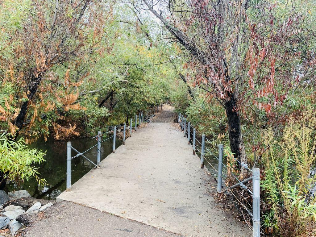 1024x768 Autumn in CA