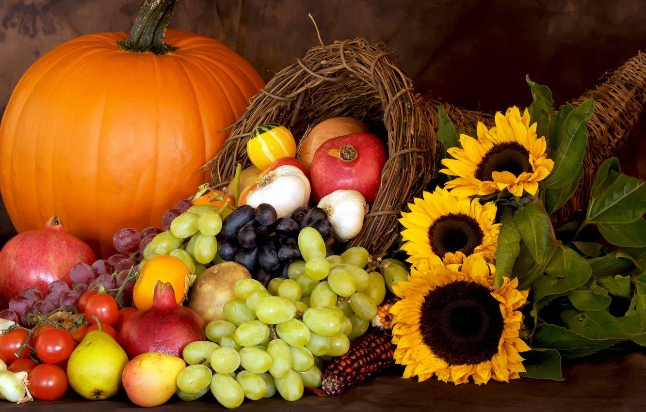 1332x850 Wallpaper sunflowers, grapes, pumpkin, fruit, still life, vegetables, a lot, grenades, cuts image for desktop, section еда