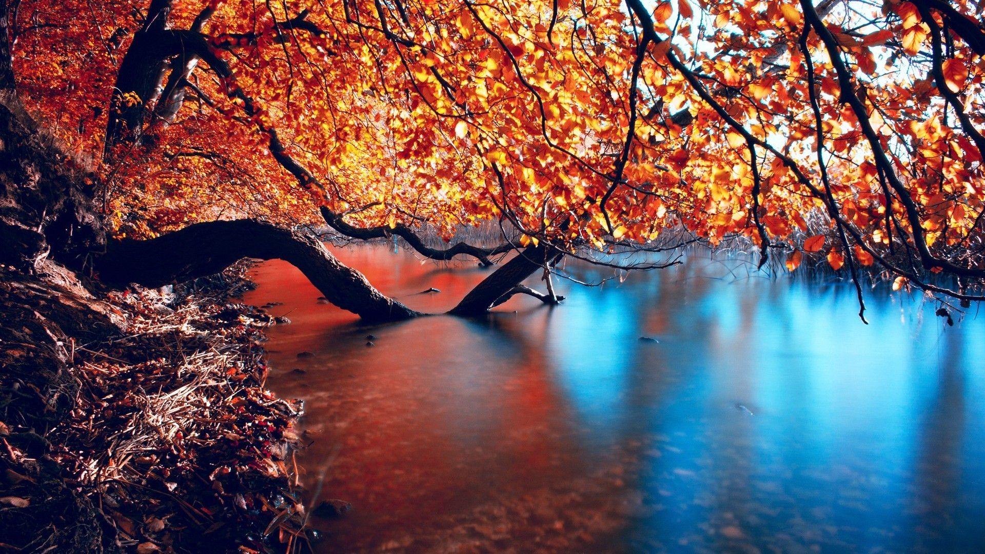 1920x1080 Autumn wallpaper HD