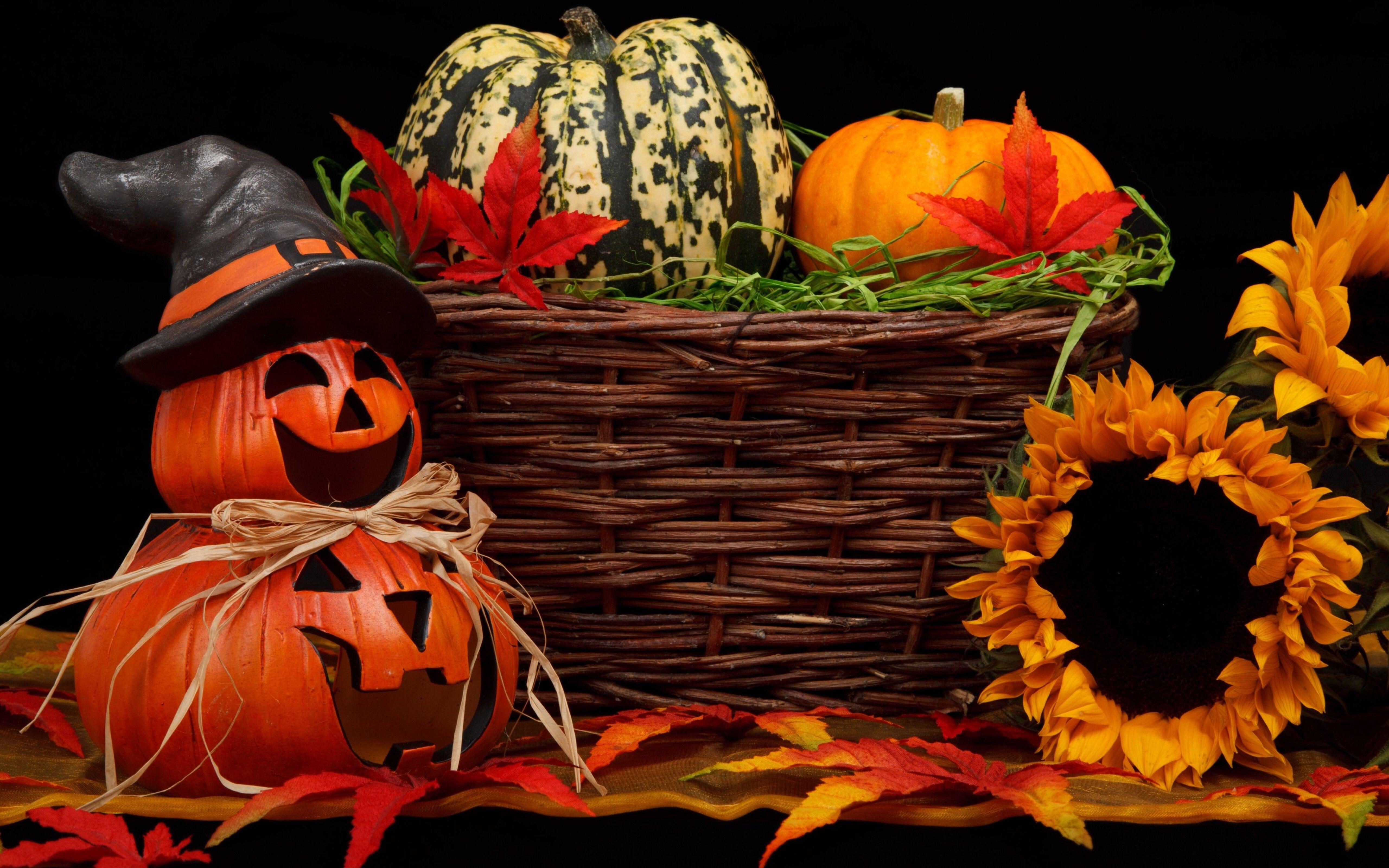 5120x3200 Funny Halloween pumpkins and sunflowers