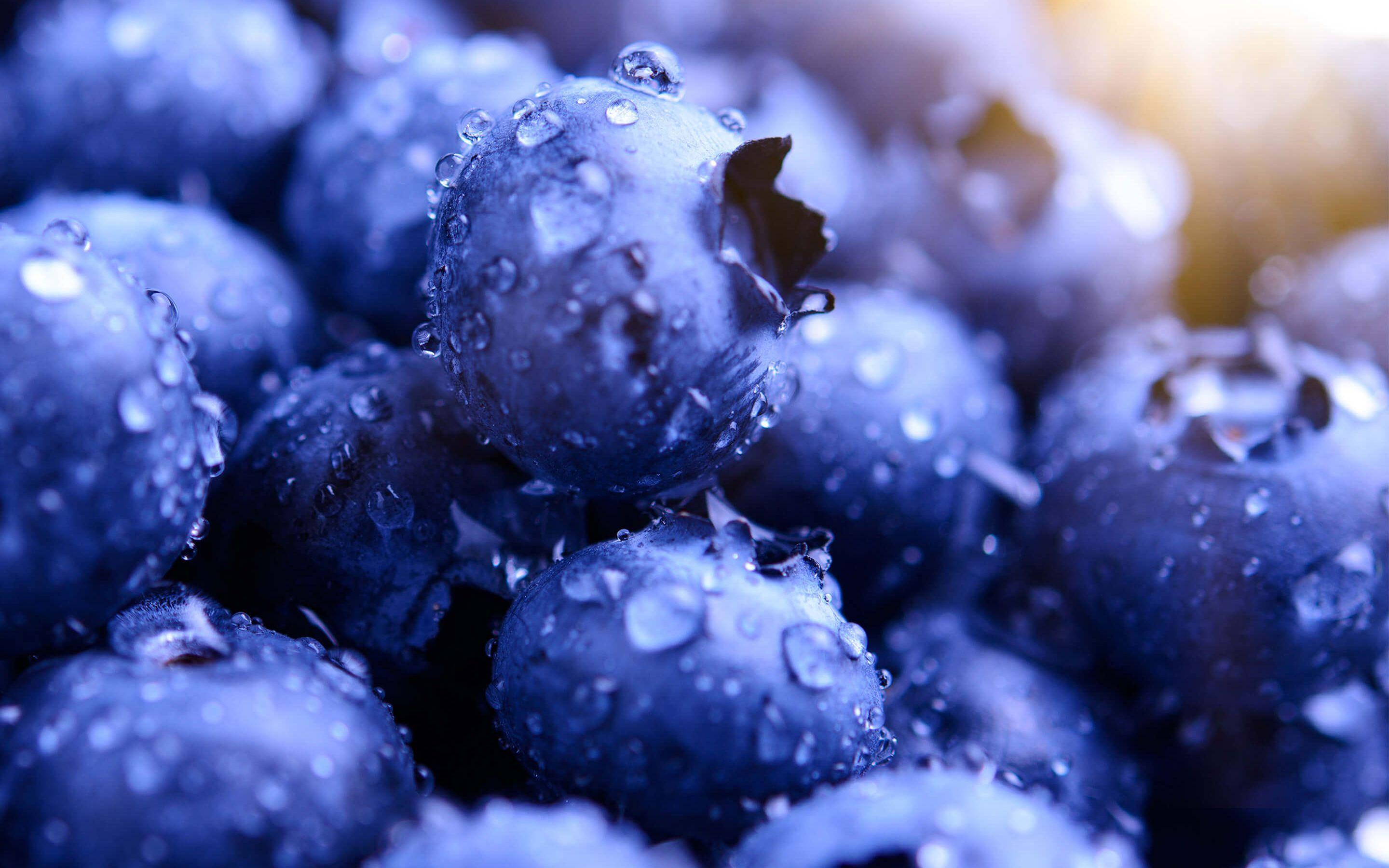 HD wallpaper blueberries texture fruit strawberries food and drink  berry fruit  Wallpaper Flare