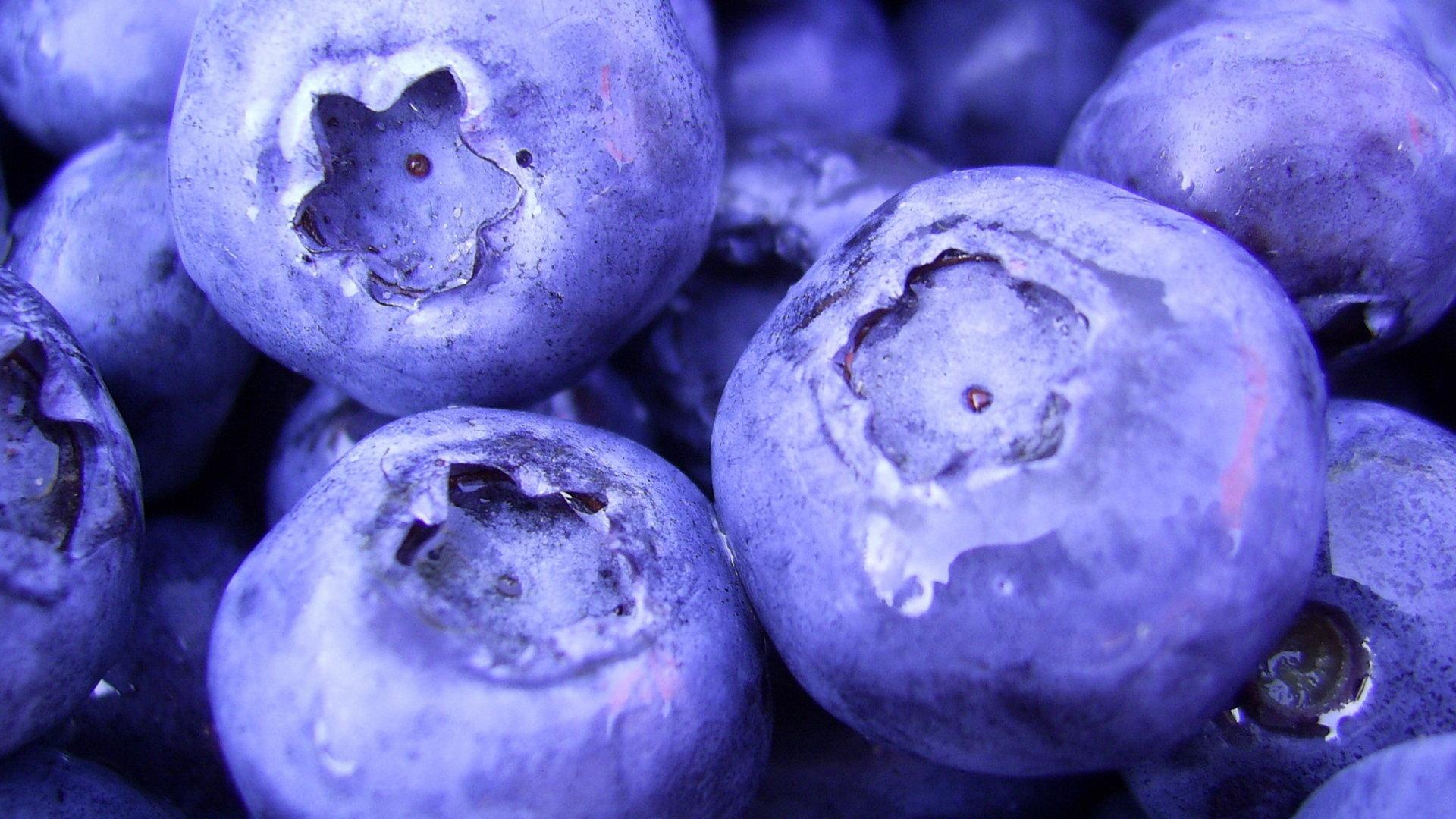 Blueberry Desktop Wallpapers - Top Free Blueberry Desktop Backgrounds