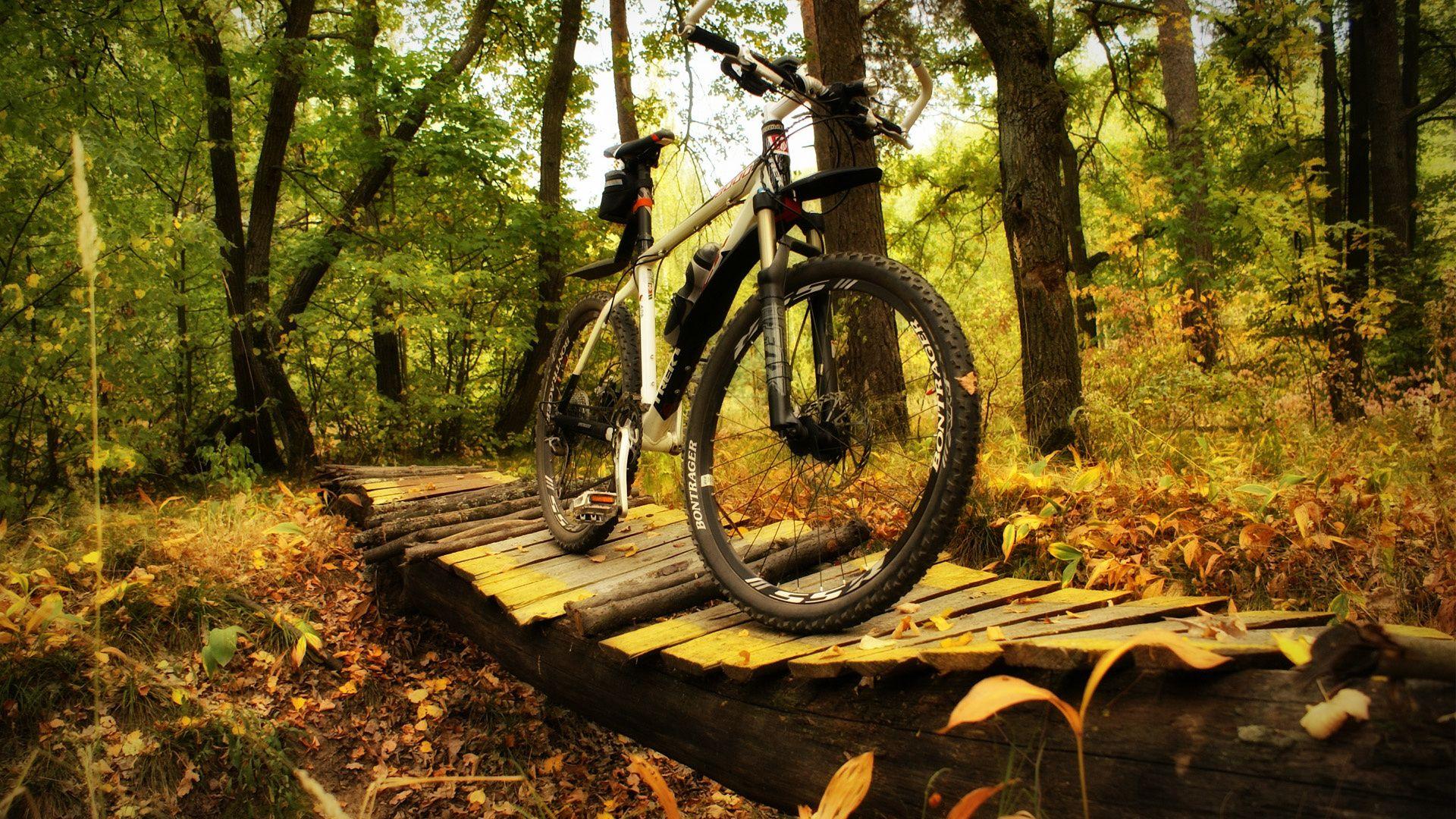 1920x1080 MTB Mountain Bike On The Wooden Bridge In The Forest 1920x1080 HD MountainBike MTB