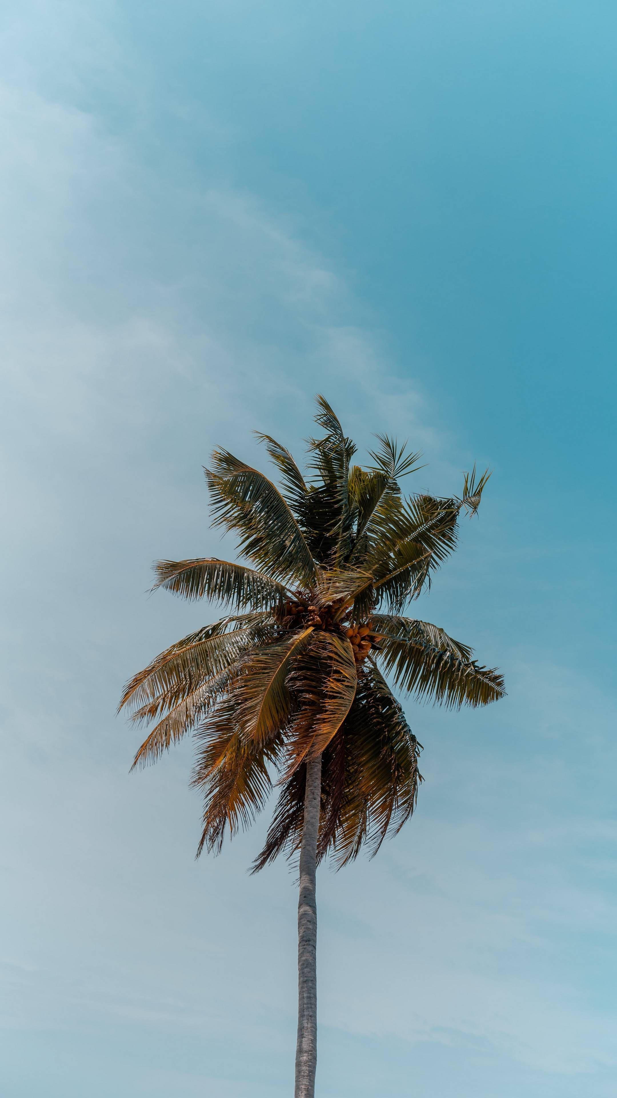 2160x3840 W A L L P A P E R S