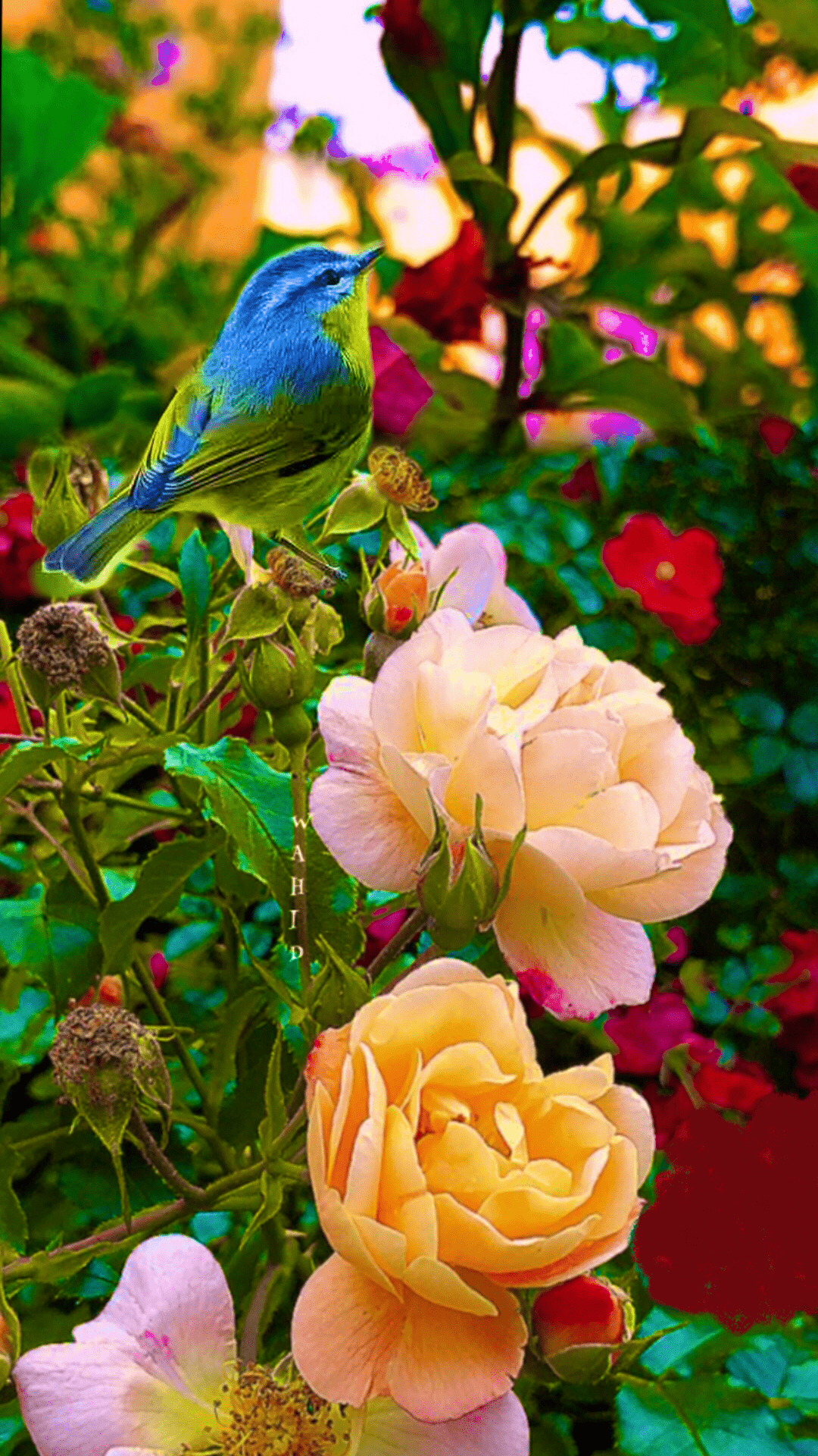 Lovely Birds and flowers leaves two birds flowers sitting bonito  pink HD wallpaper  Peakpx