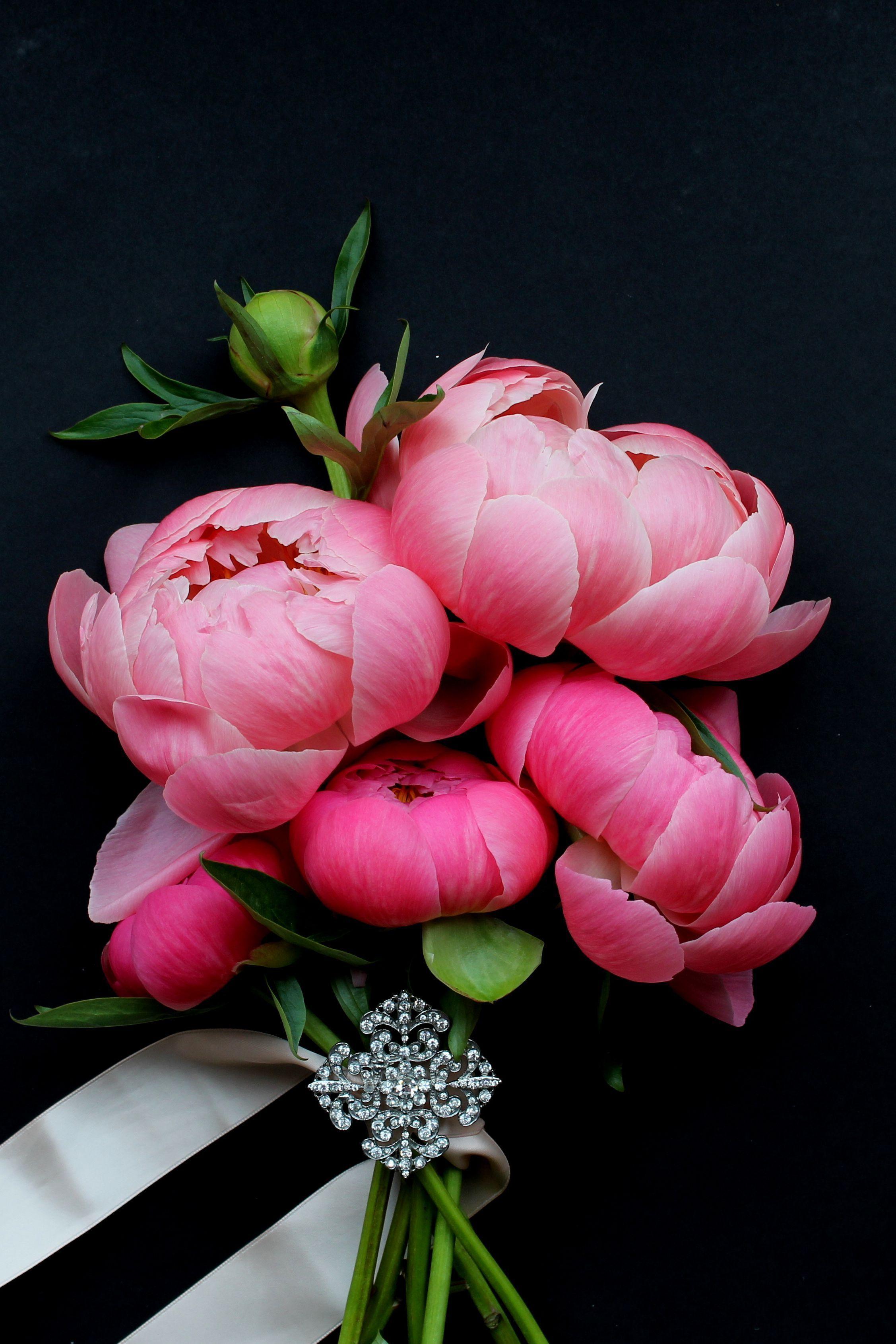 Beautiful Peonies Wallpapers Top Free Beautiful Peonies Backgrounds Wallpaperaccess 1930