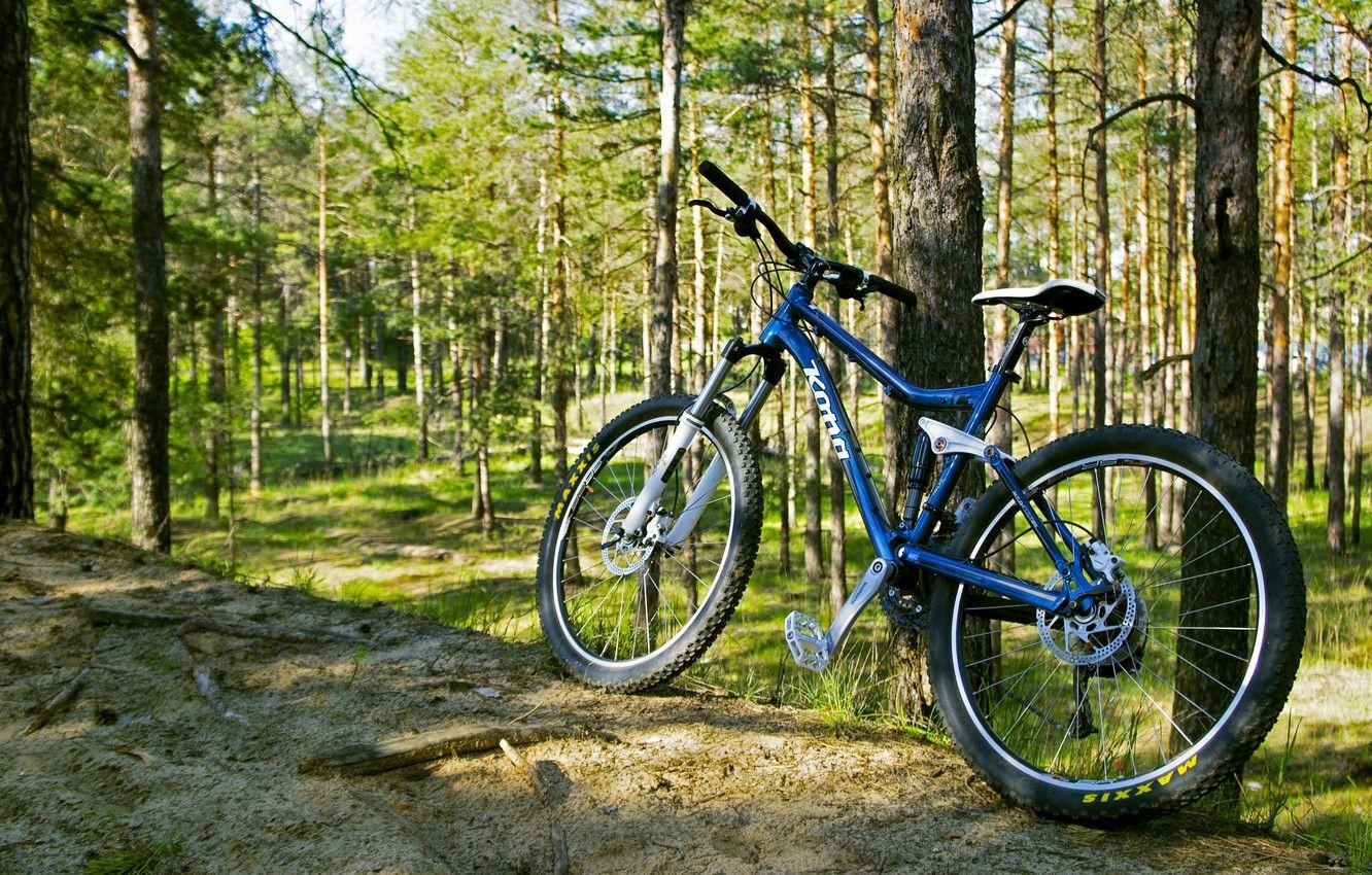 1332x850 Wallpaper forest, trees, bike, green, green, frame, forest, brown, widescreen Wallpaper, brown, mountain, mtb, Wallpaper for desktop, download Wallpaper, download Wallpaper for desktop, Wallpaper HD image for desktop, section спорт