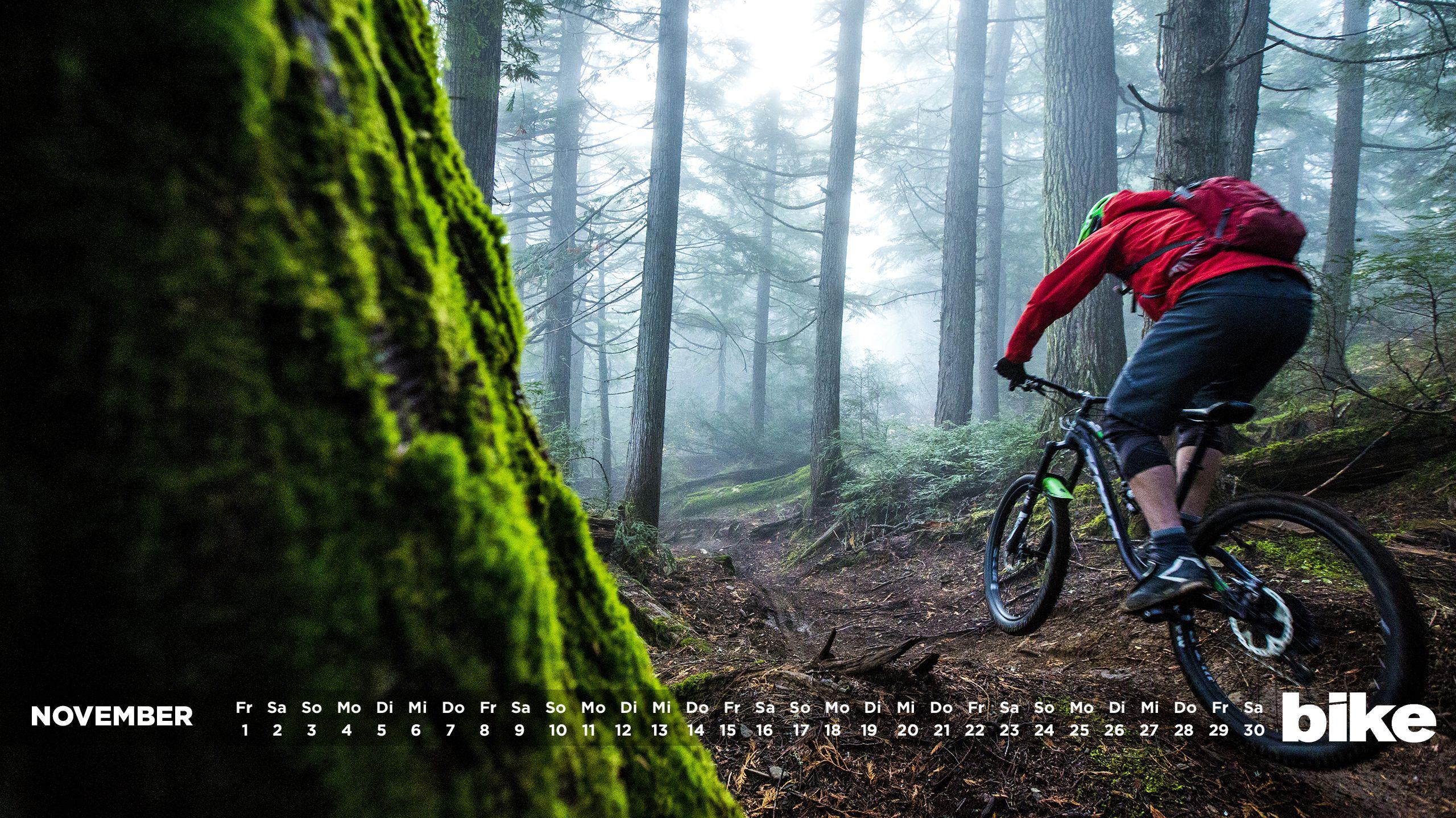 2560x1440 Downhill Mountain Biking