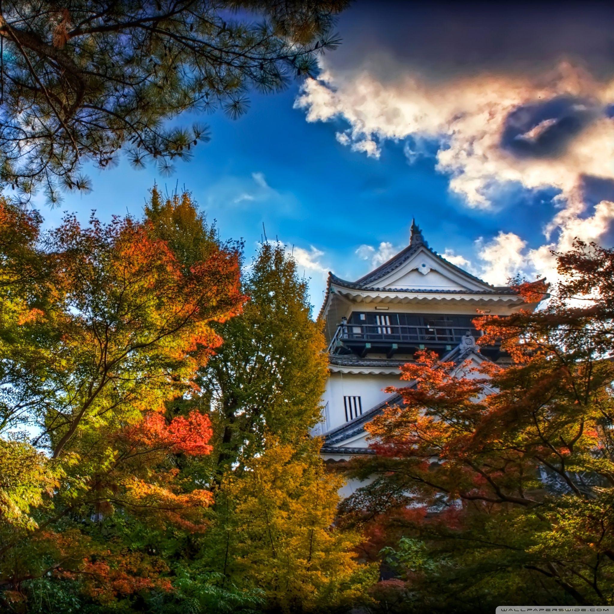 2048x2048 Japanese Castle, Autumn ❤ 4K HD Desktop Wallpaper for 4K Ultra HD