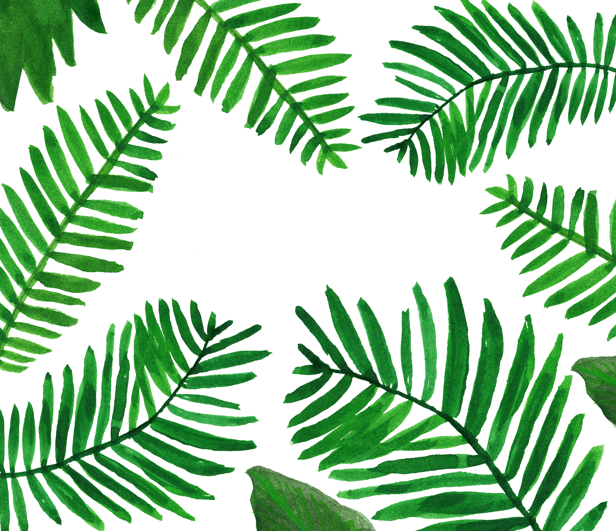 2088x1800 Palm Leaves Desktop Wallpaper