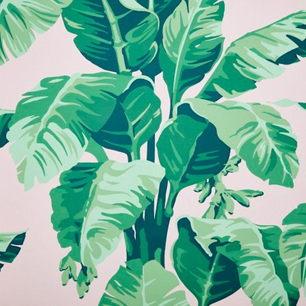 1000x1000 Green Aesthetics Wallpaper