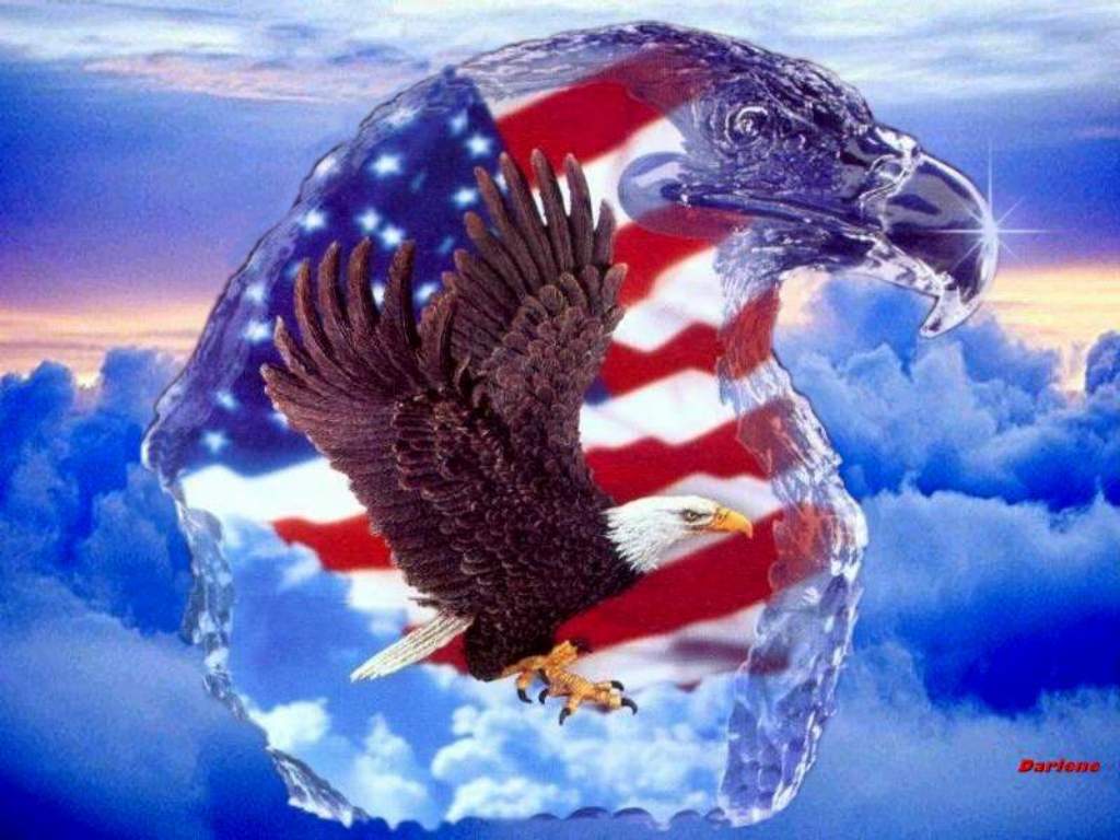 1024x768 Free download bald eagle and american flag wallpaper [1024x768] for your Desktop, Mobile & Tablet. Explore Eagle and Flag Wallpaper. Usa Flag Wallpaper, Patriotic Eagle Wallpaper Free, Free Eagle