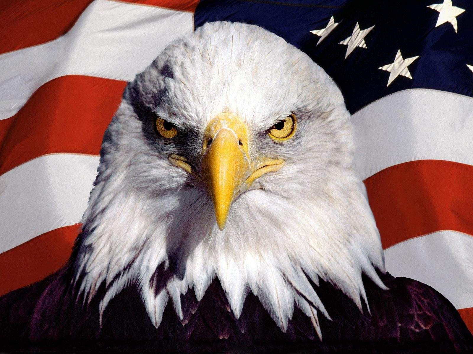 1600x1200 American Flag With Eagle Wallpaper