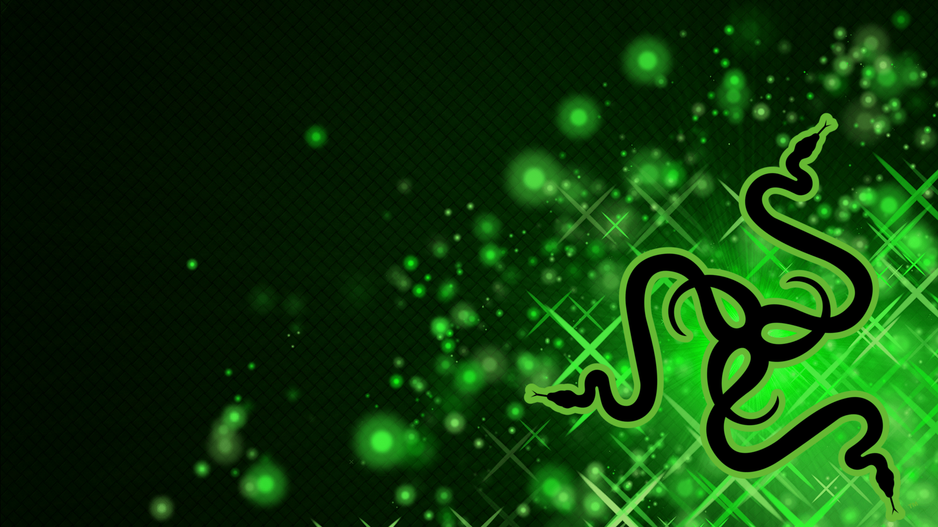 Razer Computer Wallpapers - Top Free Razer Computer Backgrounds ...