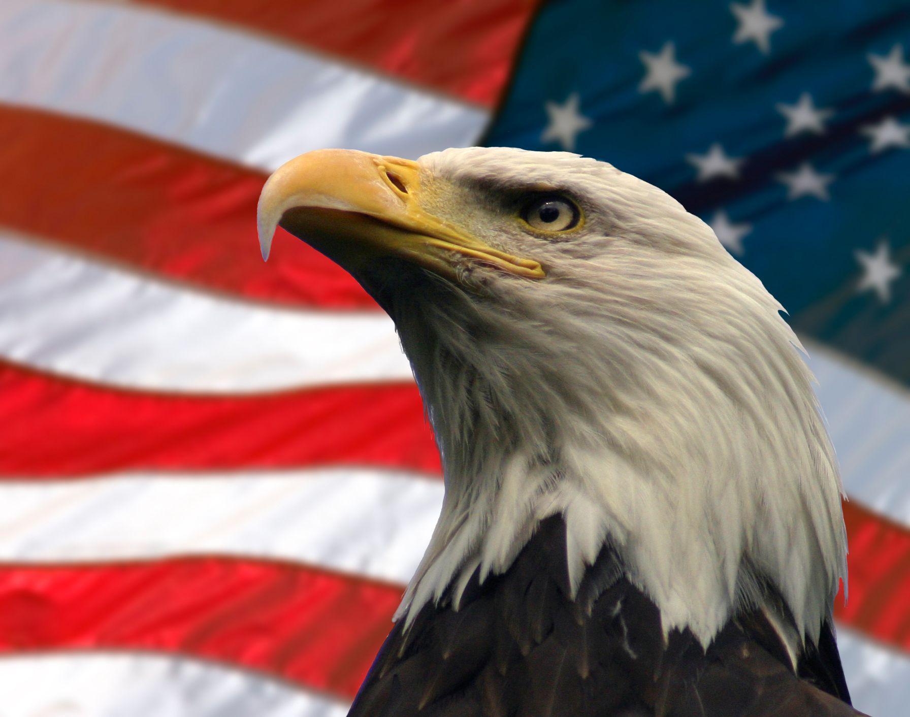 1792x1412 American Eagle Wallpaper