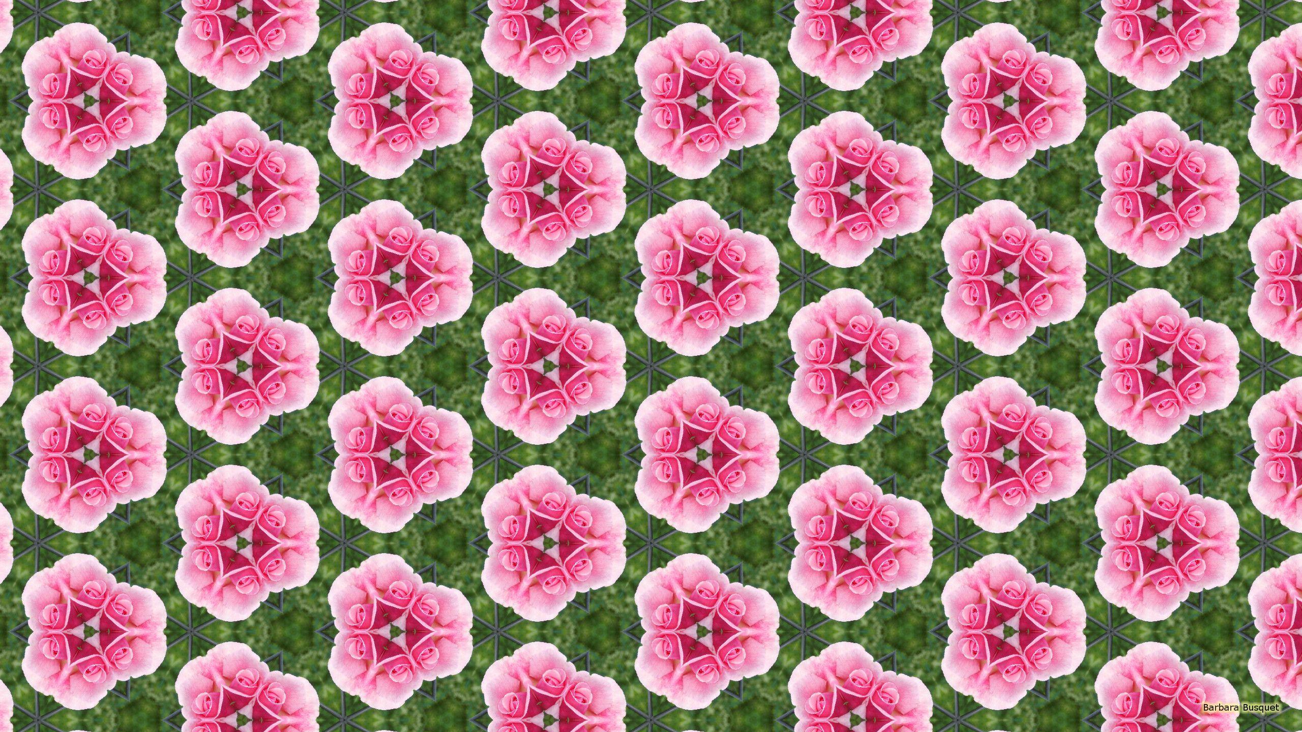 2560x1440 Pink rose and wire mesh fence's HD Wallpaper