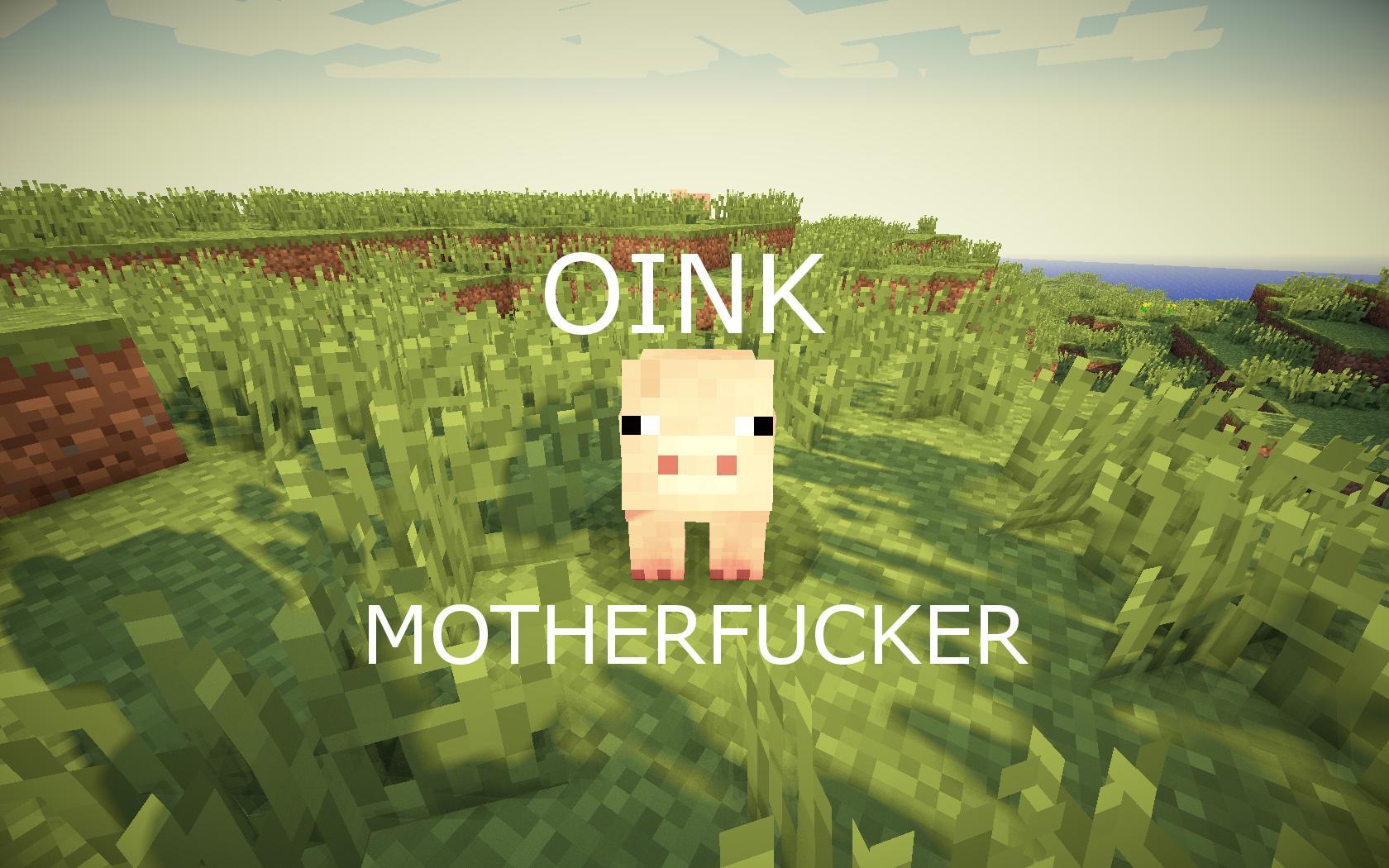 1680x1050 Funny Minecraft Wallpaper