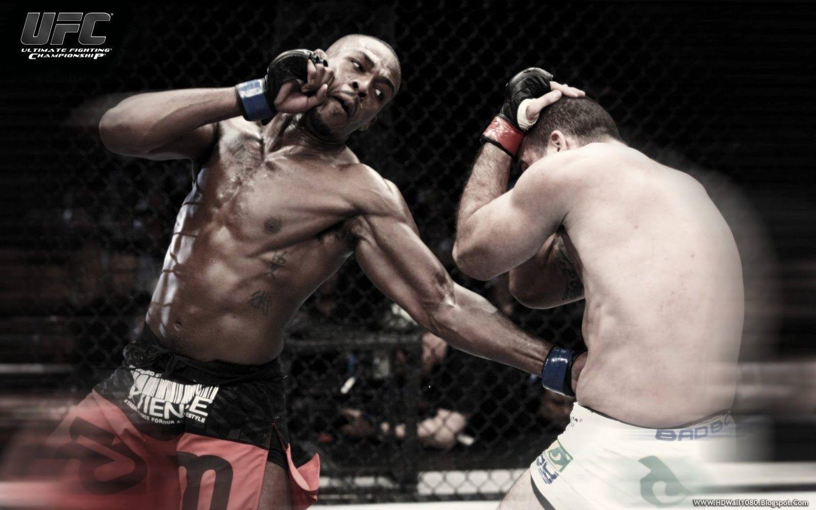 1600x1000 Mixed Martial Arts Wallpaper