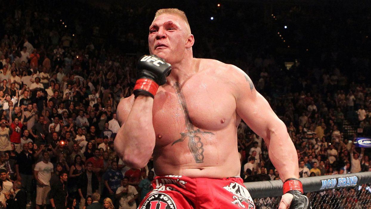 1244x700 MMA UFC Brock Lesnar fighters wallpaperx1080