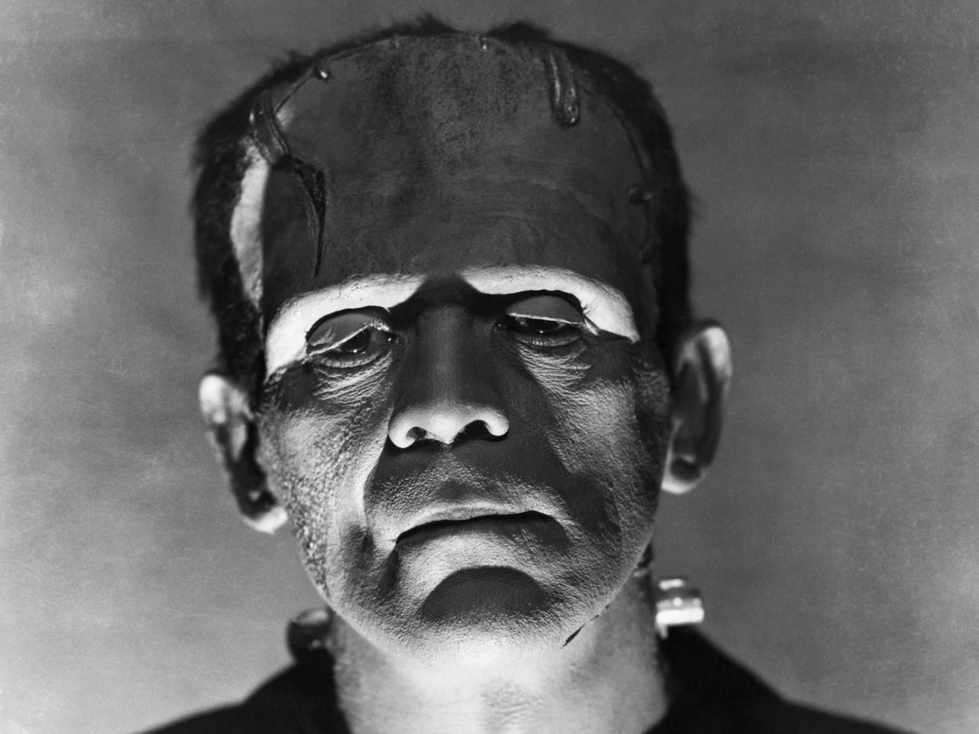 1920x1440 The Bride Of Frankenstein wallpaper HD for desktop background