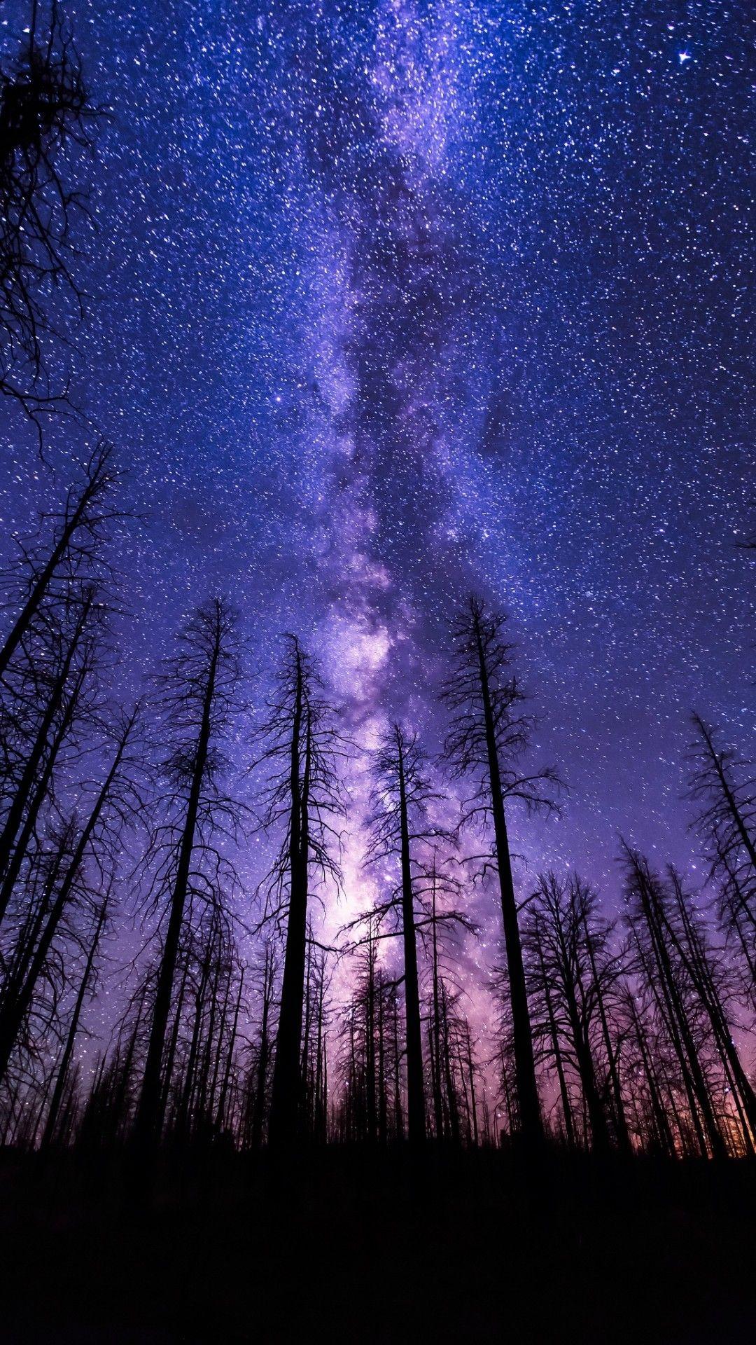 1080x1920 Night Sky iPhone Wallpaper