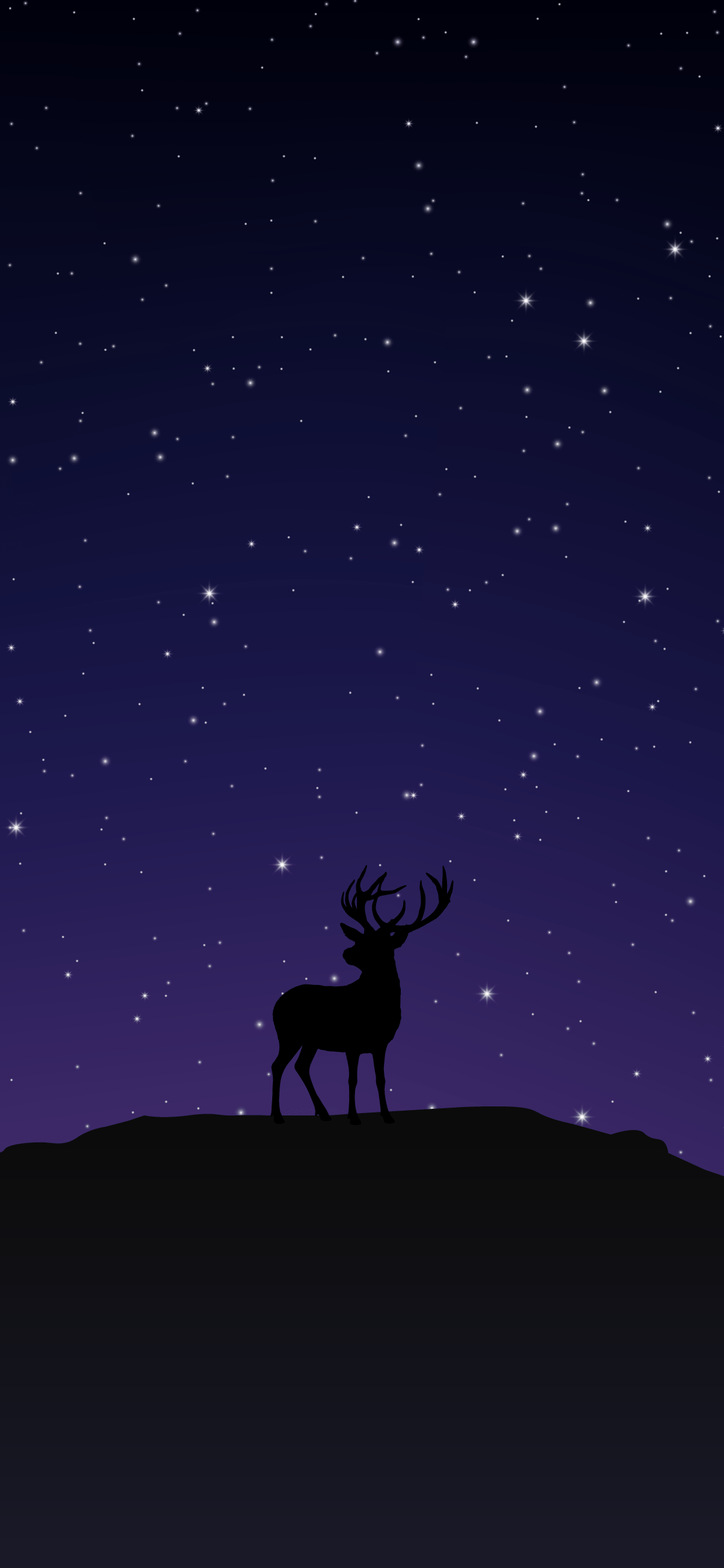 1205x2609 Cool phone wallpaper- Night sky and deer