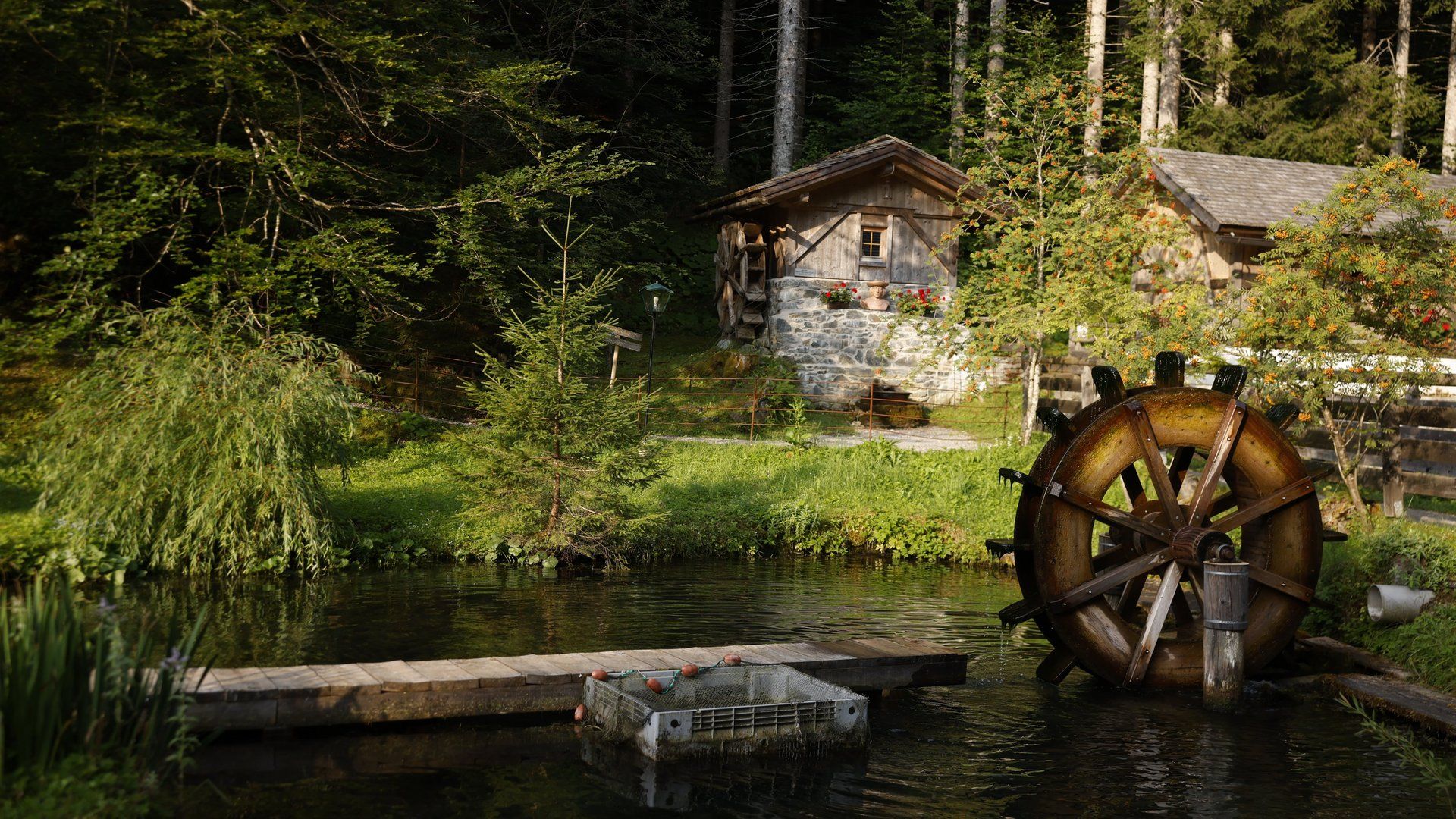 1920x1080 Precious drinking water springs