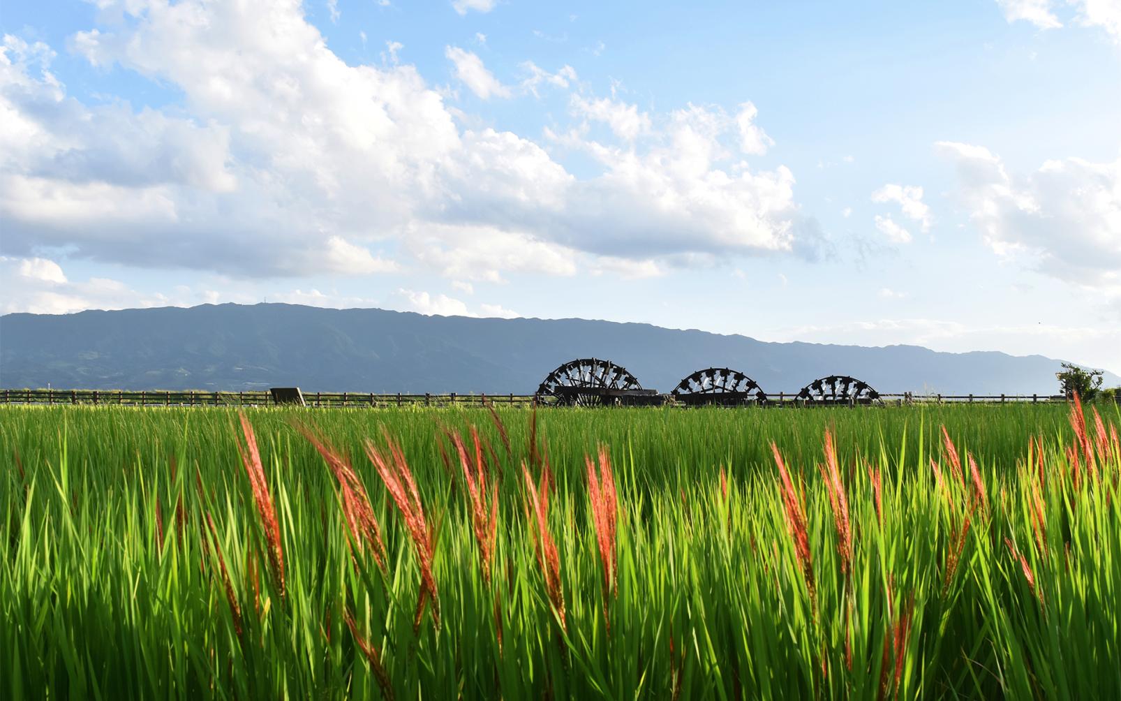 1606x1004 Triple Water Wheel. See & Do. VISIT FUKUOKA -Fukuoka Prefecture Official Travel Guide