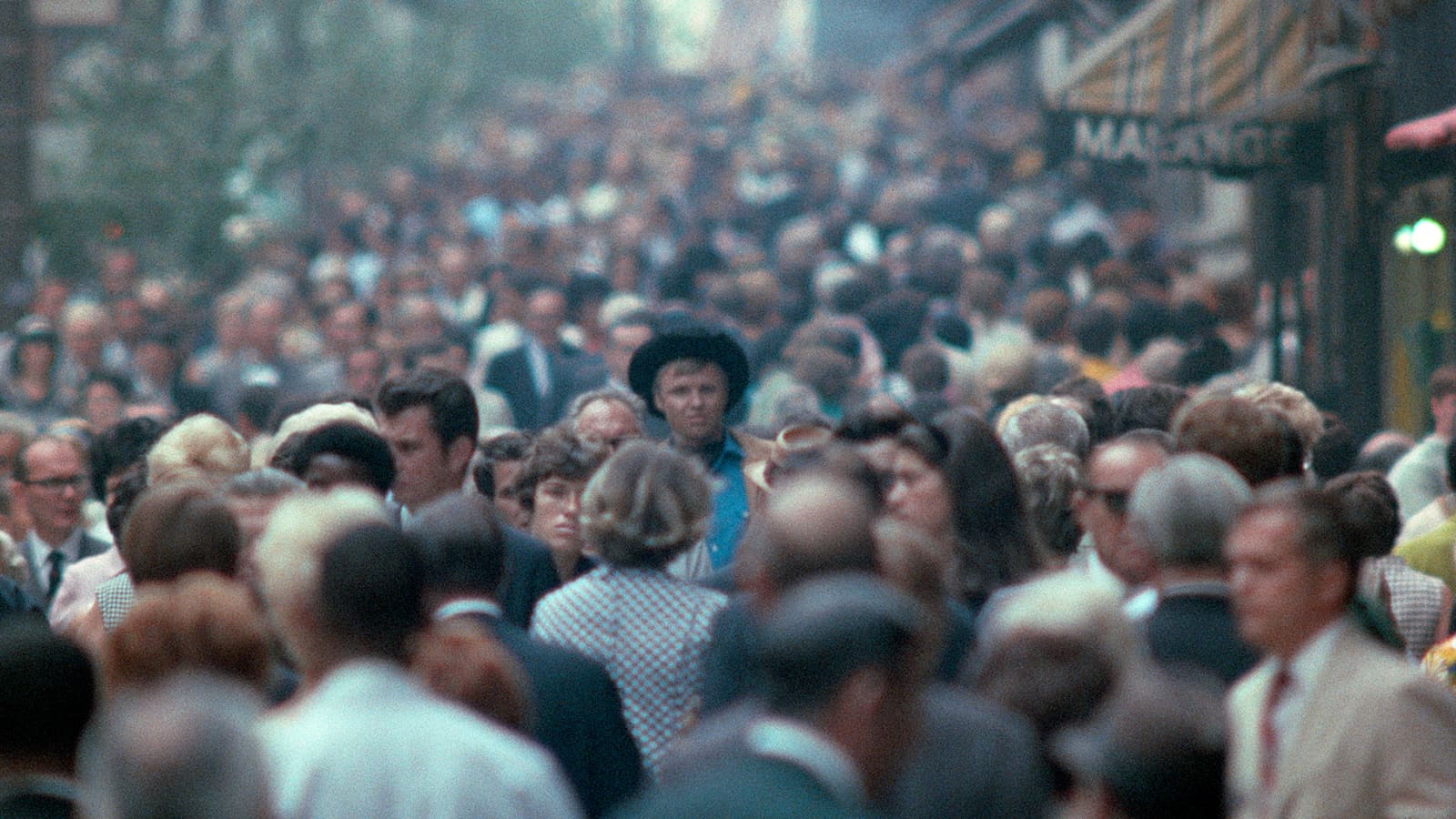 1600x900 Midnight Cowboy (1969). The Criterion Collection