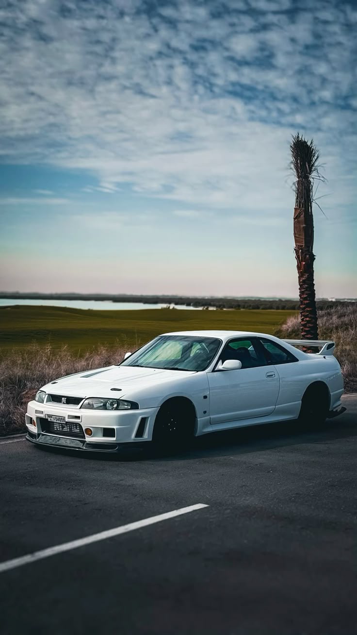 736x1308 GTR R33